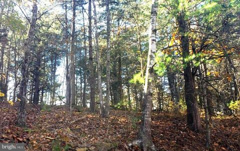 Vacant Land For Sale - Fairway Drive #LOT 31<br/> BASYE, VA 22810