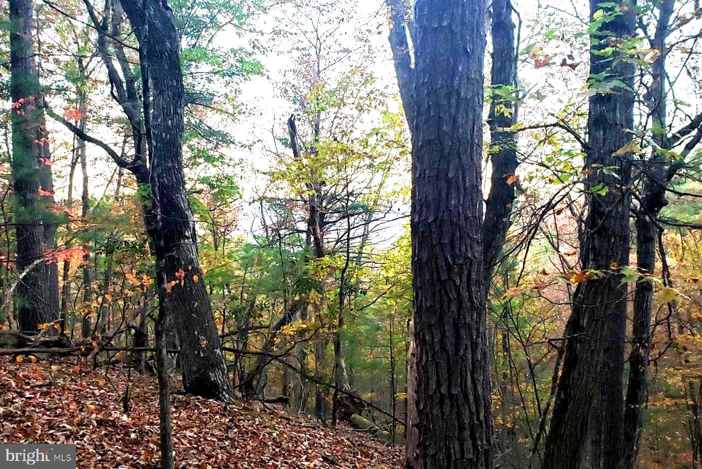 0 FAIRWAY DRIVE LOT 31