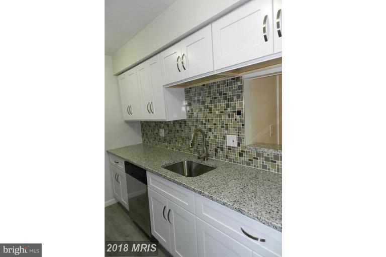 TIERS AT SILVER SPRING - Residential Lease