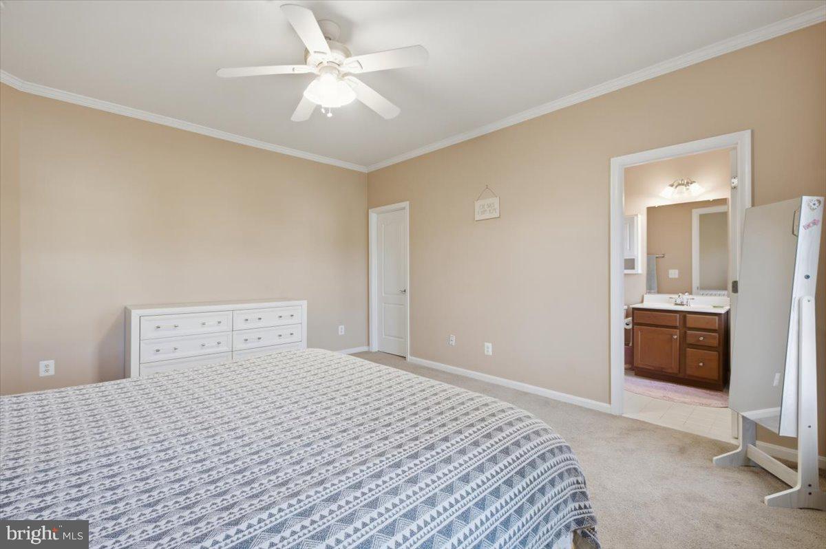 NEW BRISTOW HEIGHTS - Residential