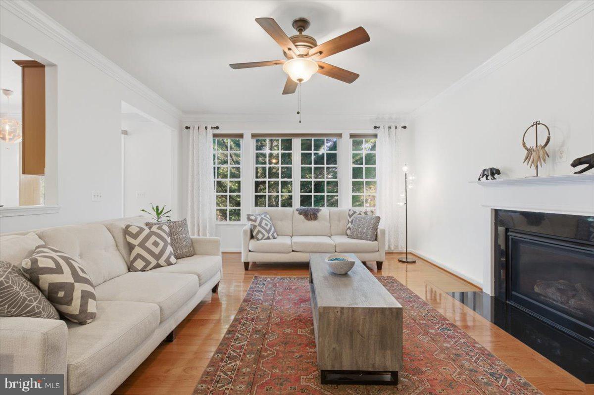 NEW BRISTOW HEIGHTS - Residential