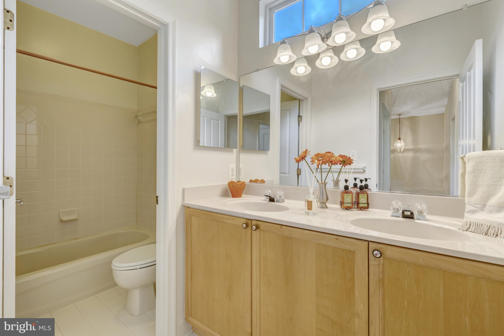 MAPLE TRACE - Residential