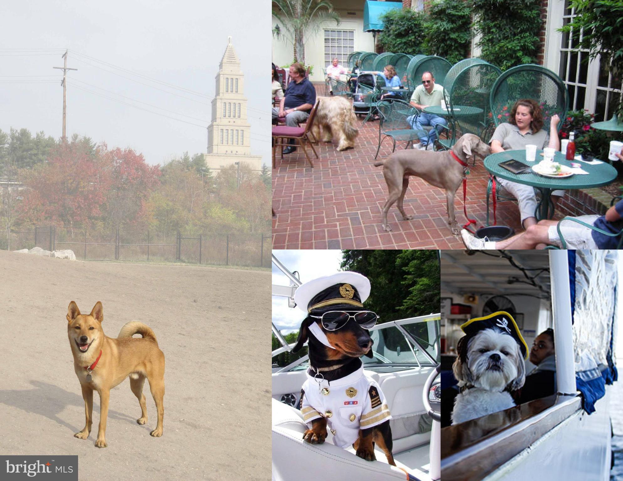 OLD TOWN VILLAGE - Residential