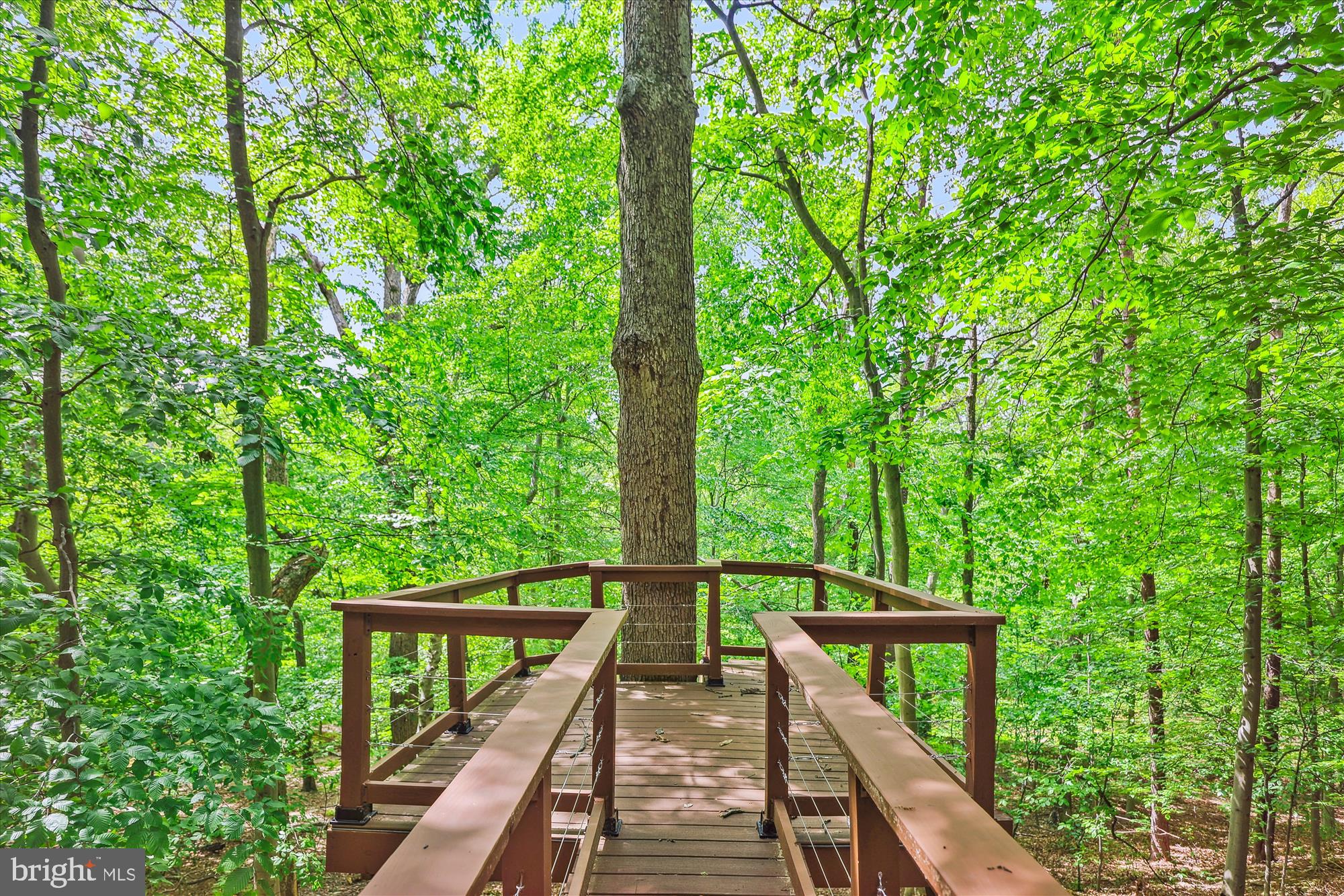 LINCOLNIA PARK - Residential