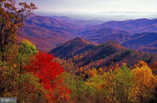 FREEZELAND MANOR - Residential