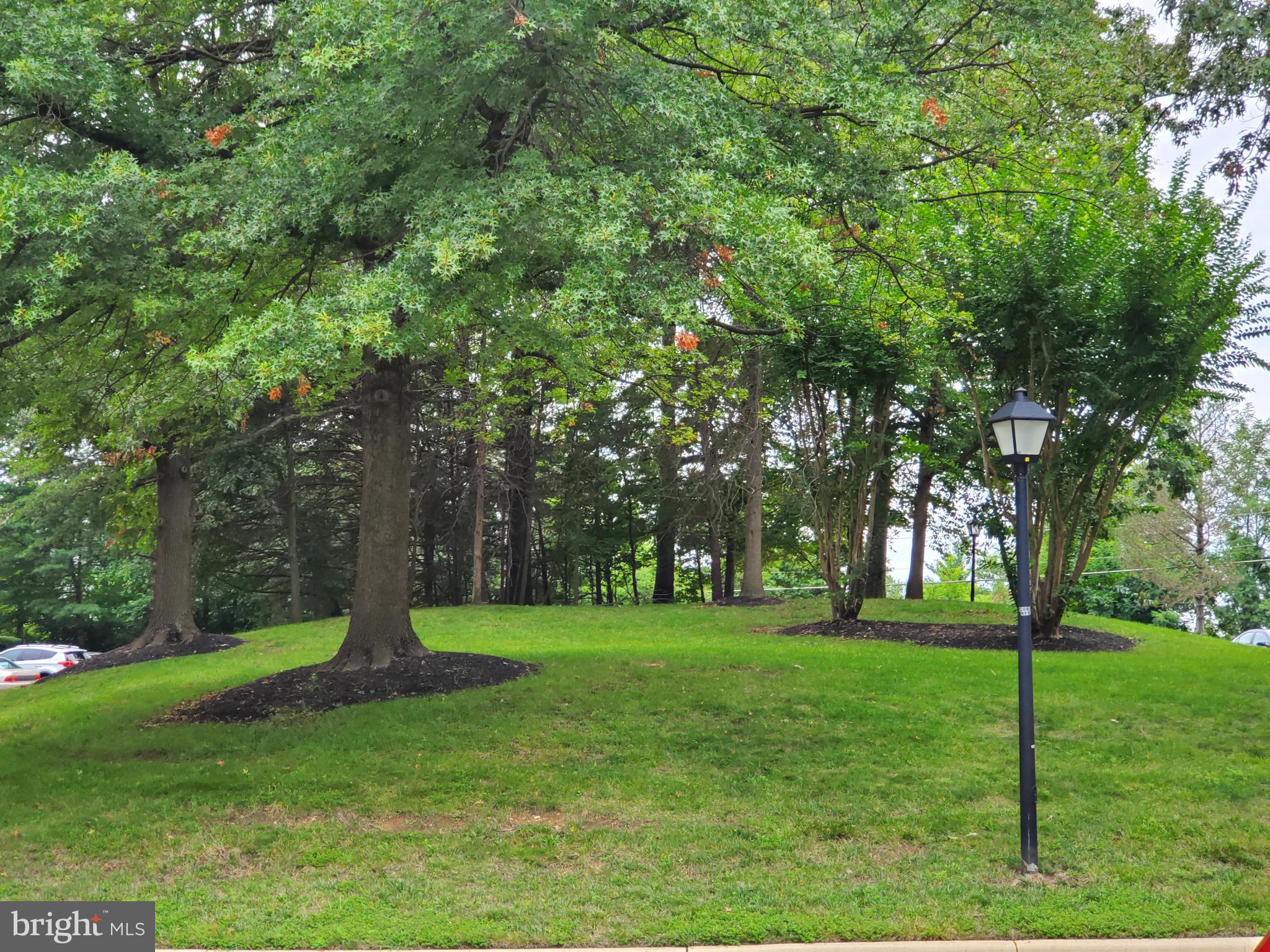 SPRING WOODS - Residential