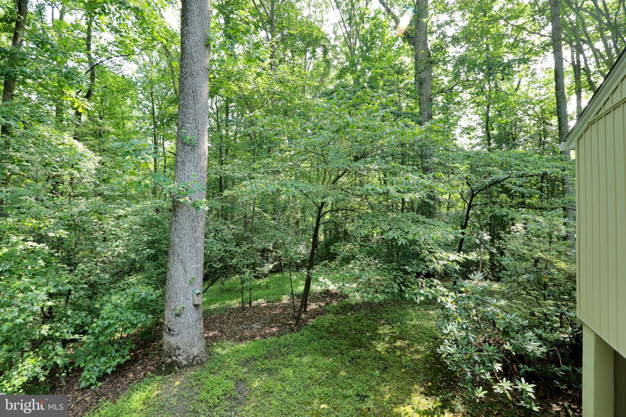 HOMELAND - Residential