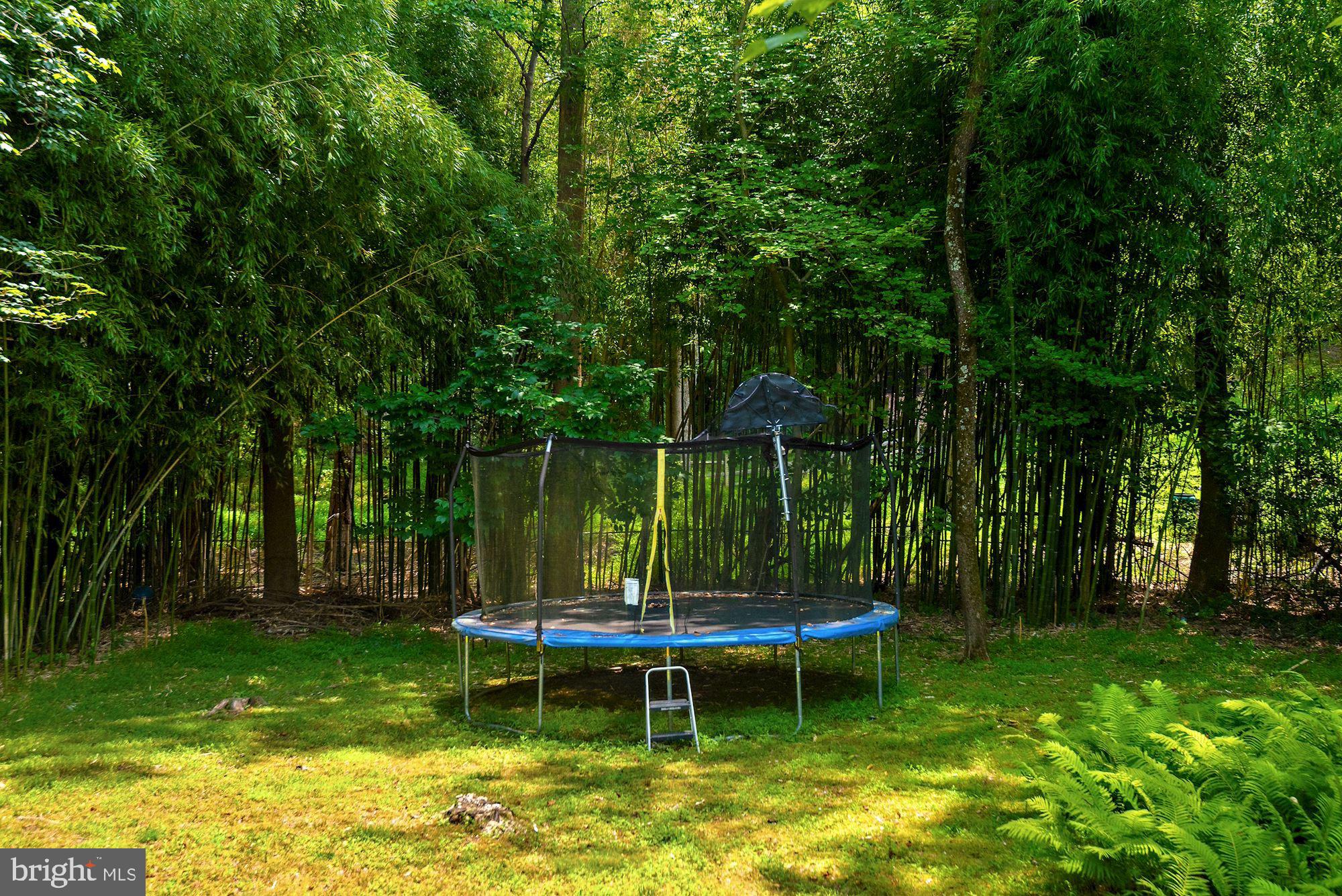 CARDEROCK SPRINGS - Residential