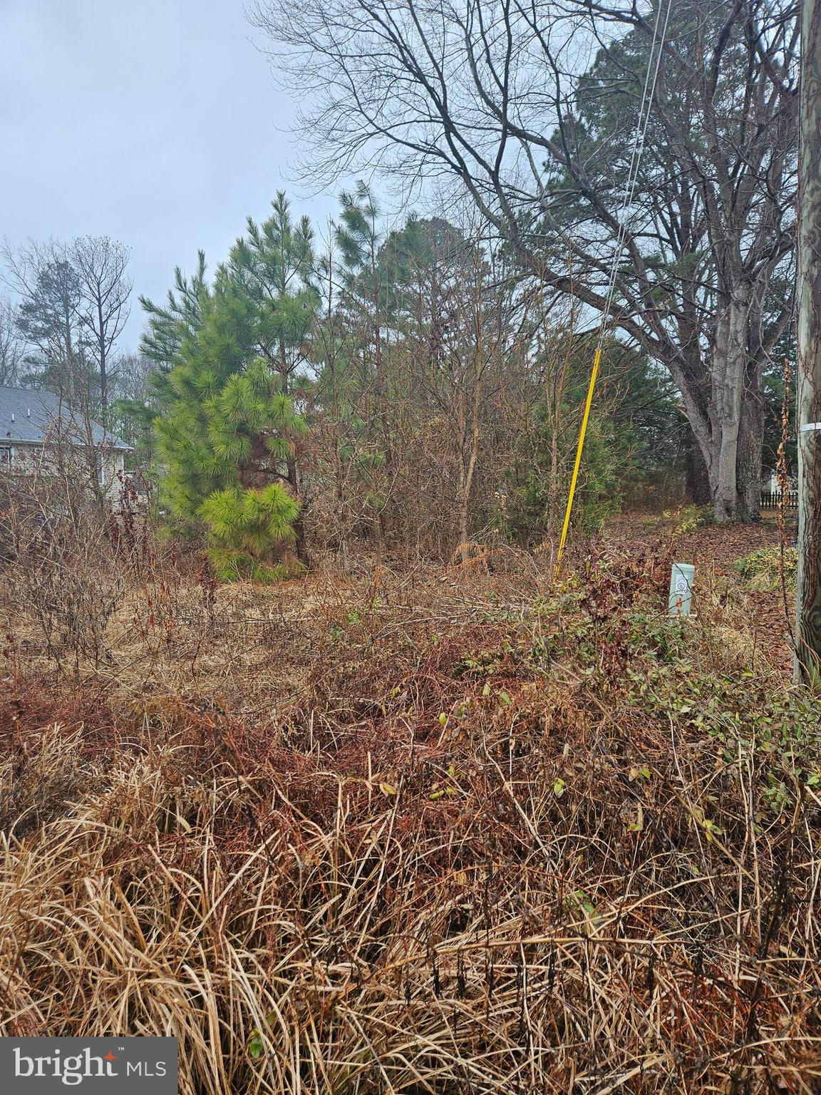 BERKLEY BEACH - Land