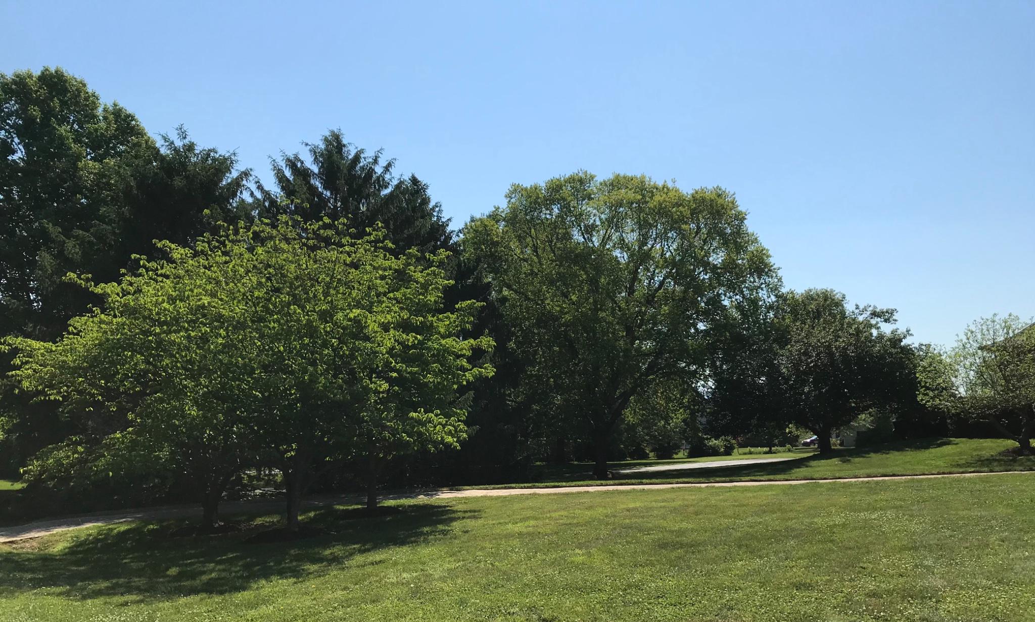 UVILLA ESTATES - Residential