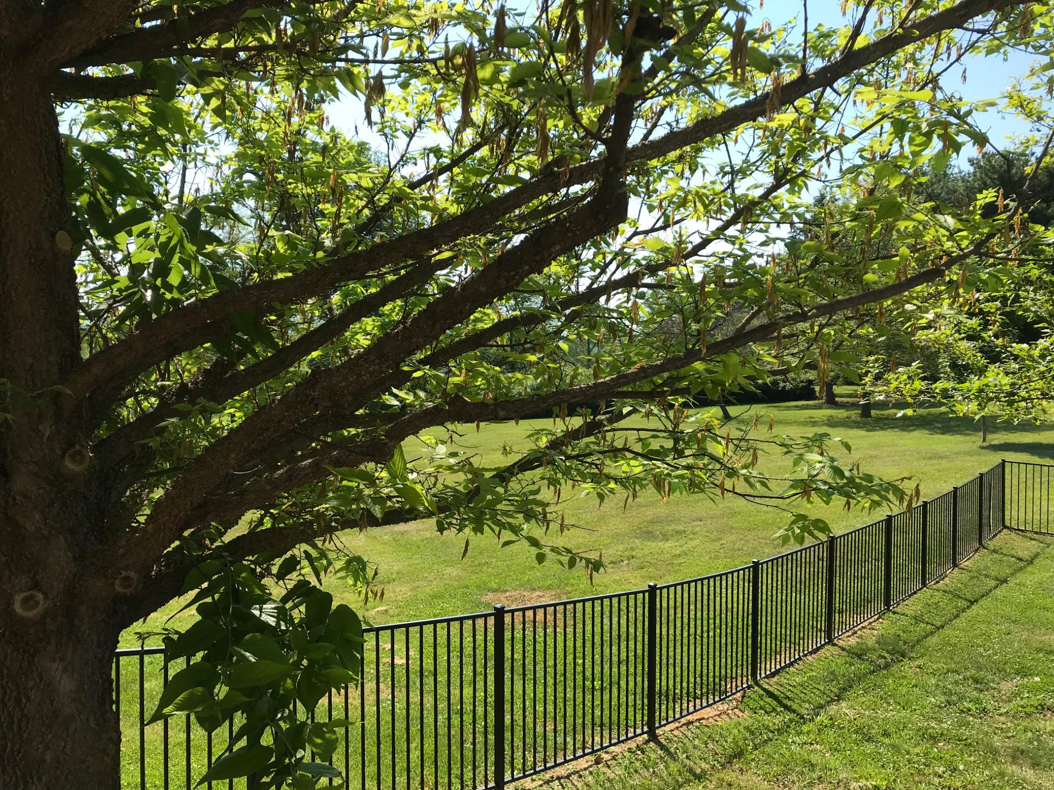 UVILLA ESTATES - Residential