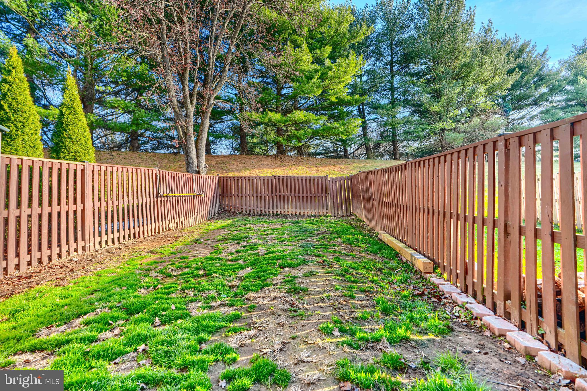 VILLAGE OF THOMAS RUN - Residential