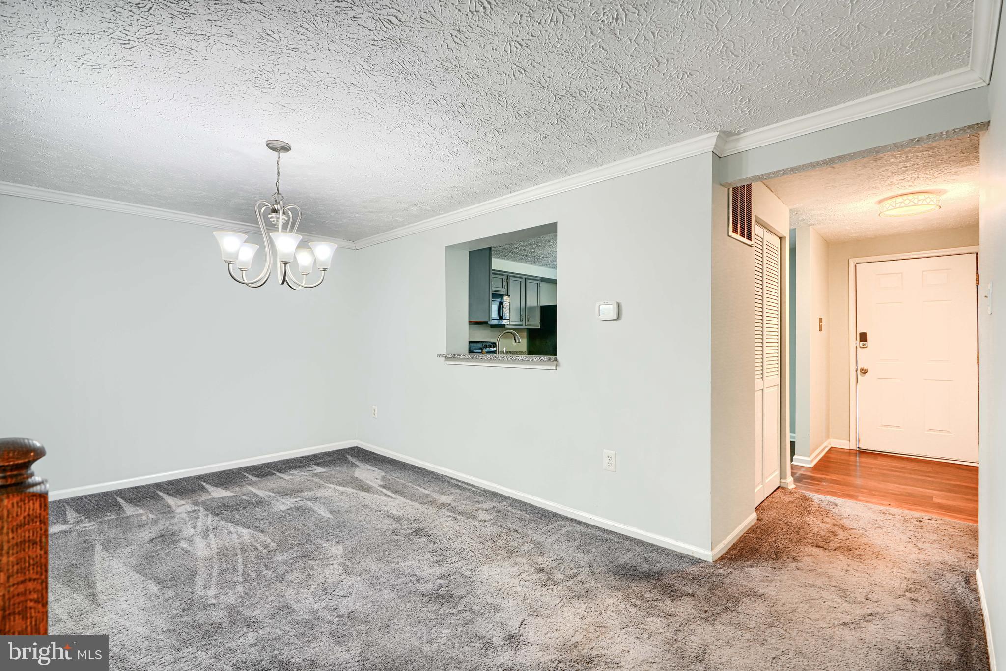 VILLAGE OF THOMAS RUN - Residential