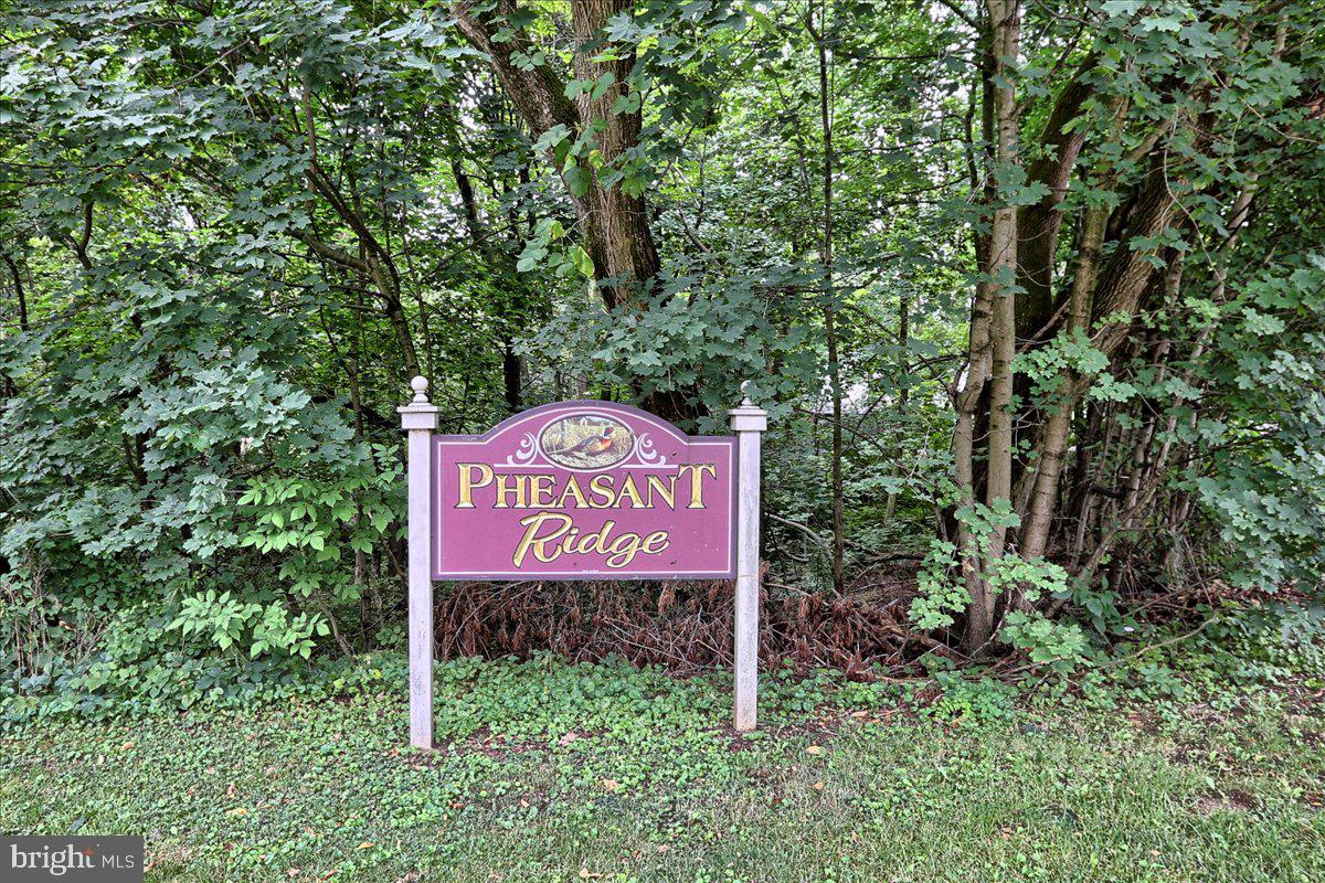 PHEASANT RIDGE - Residential