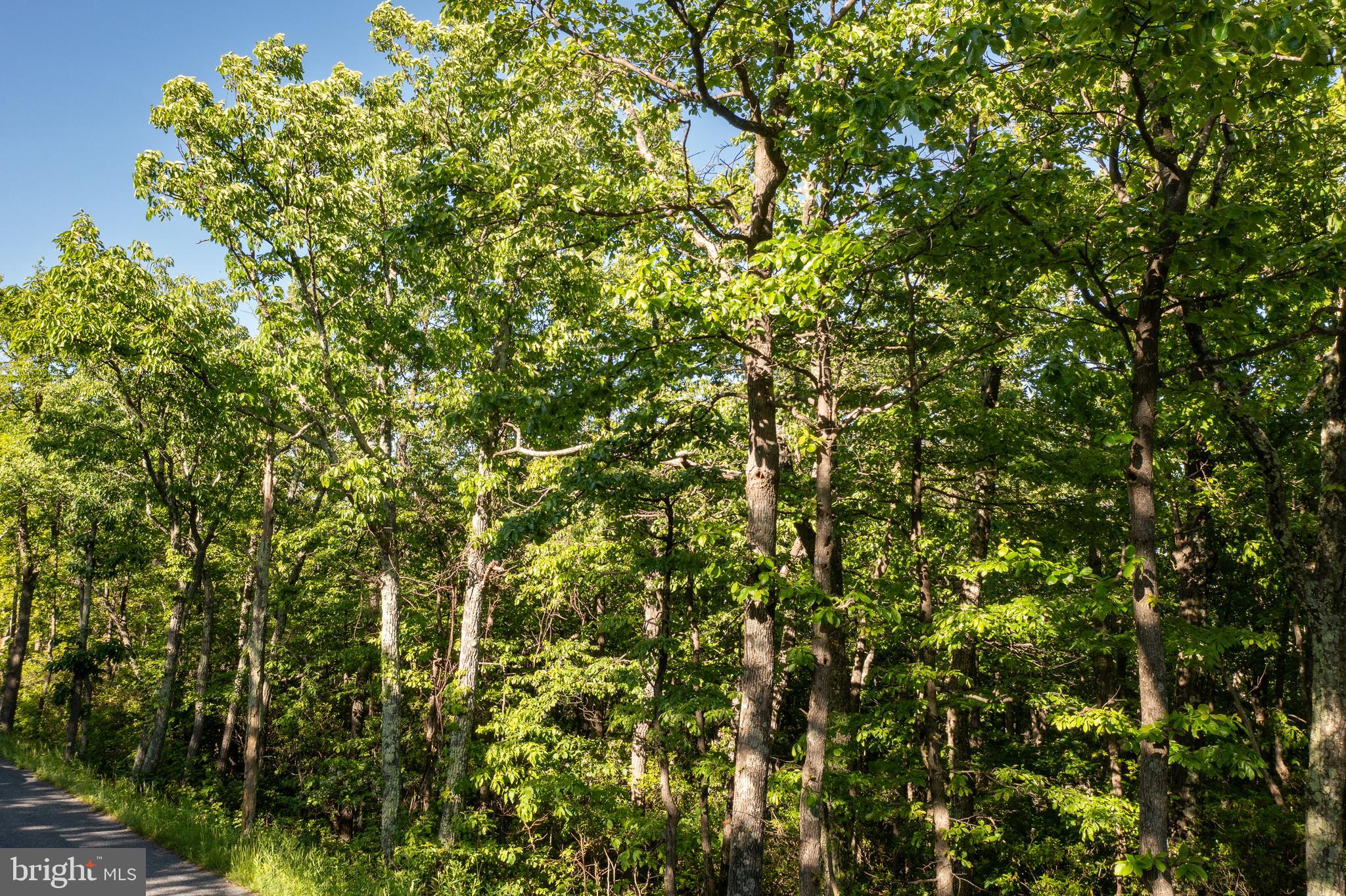 LOT 342 ARCHWOOD TRAIL