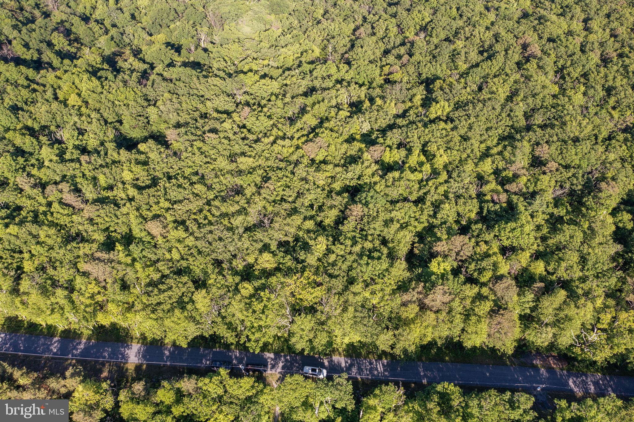 LOT 342 ARCHWOOD TRAIL