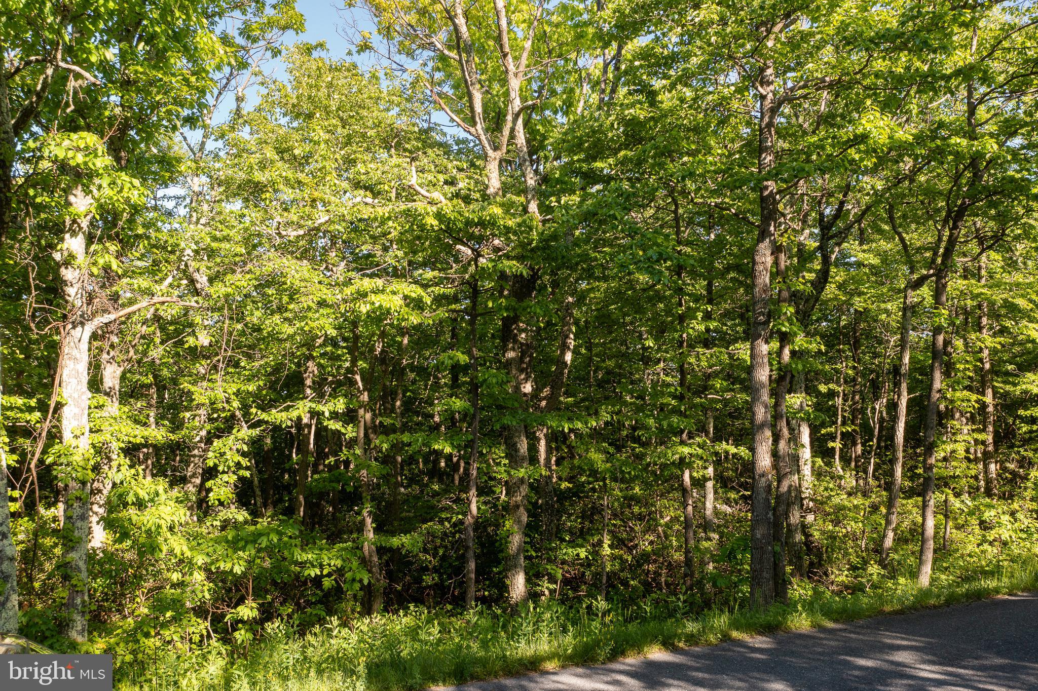 LOT 342 ARCHWOOD TRAIL
