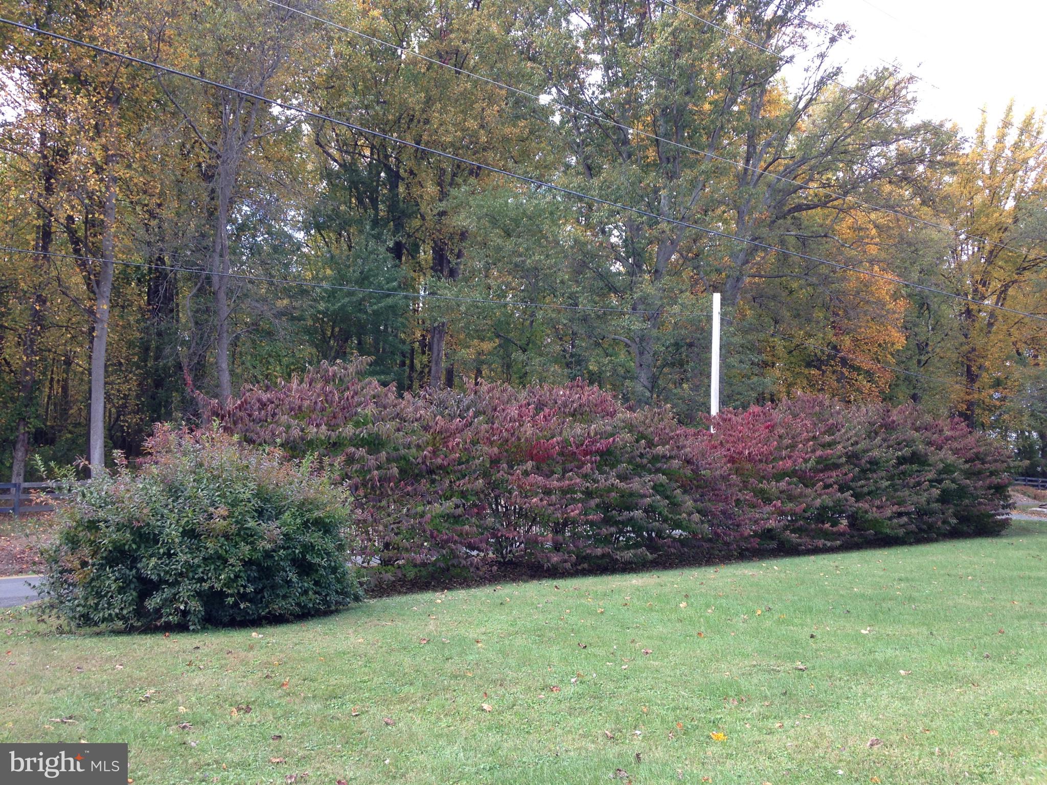 NONE AVAILABLE - Residential Lease