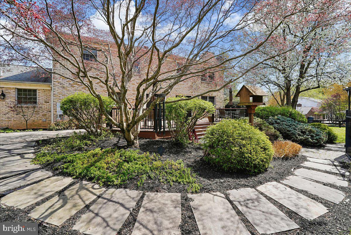 MOUNT PLEASANT - Residential