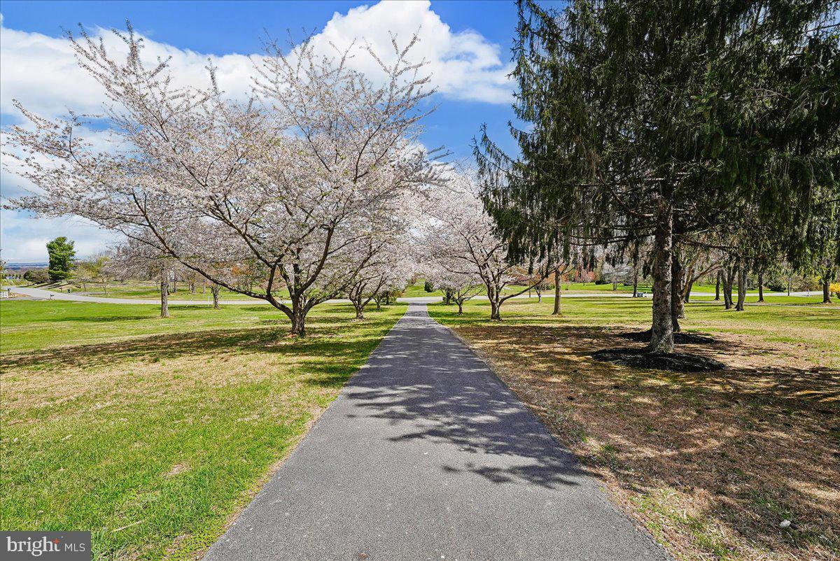 MOUNT PLEASANT - Residential