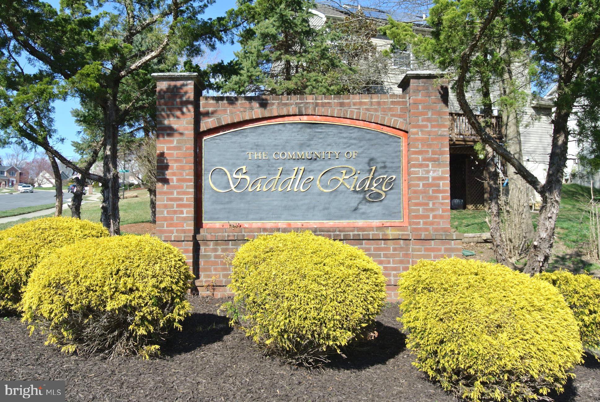 SADDLE RIDGE - Residential