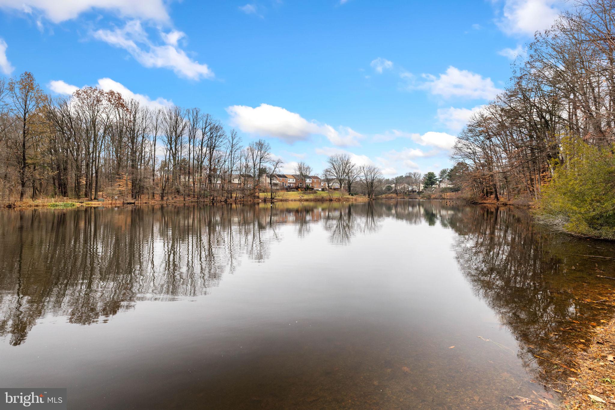 LAKE BRADDOCK - Residential