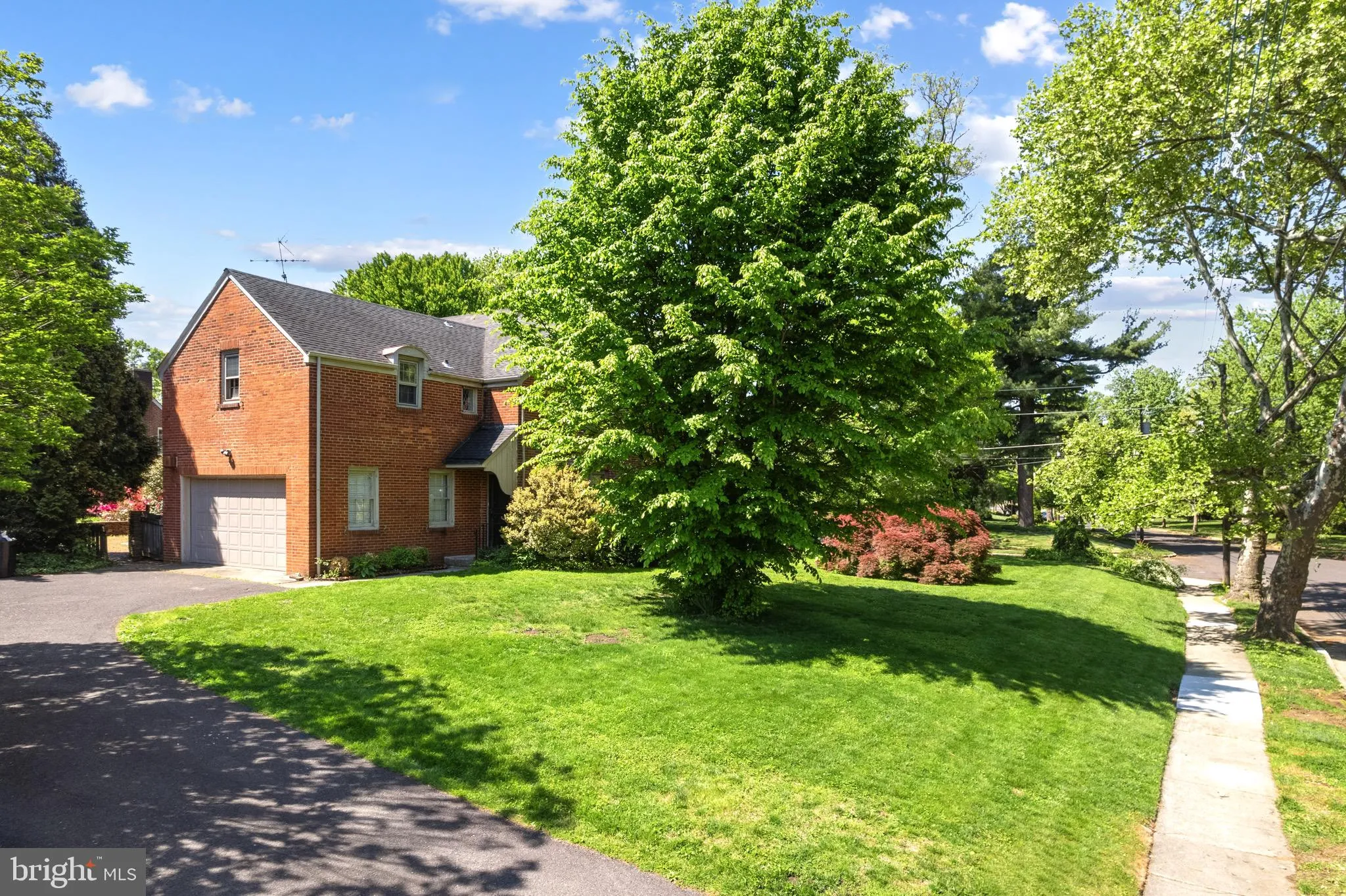 Additional image 71 of 419 Virginia Ave, Collingswood, NJ 08107