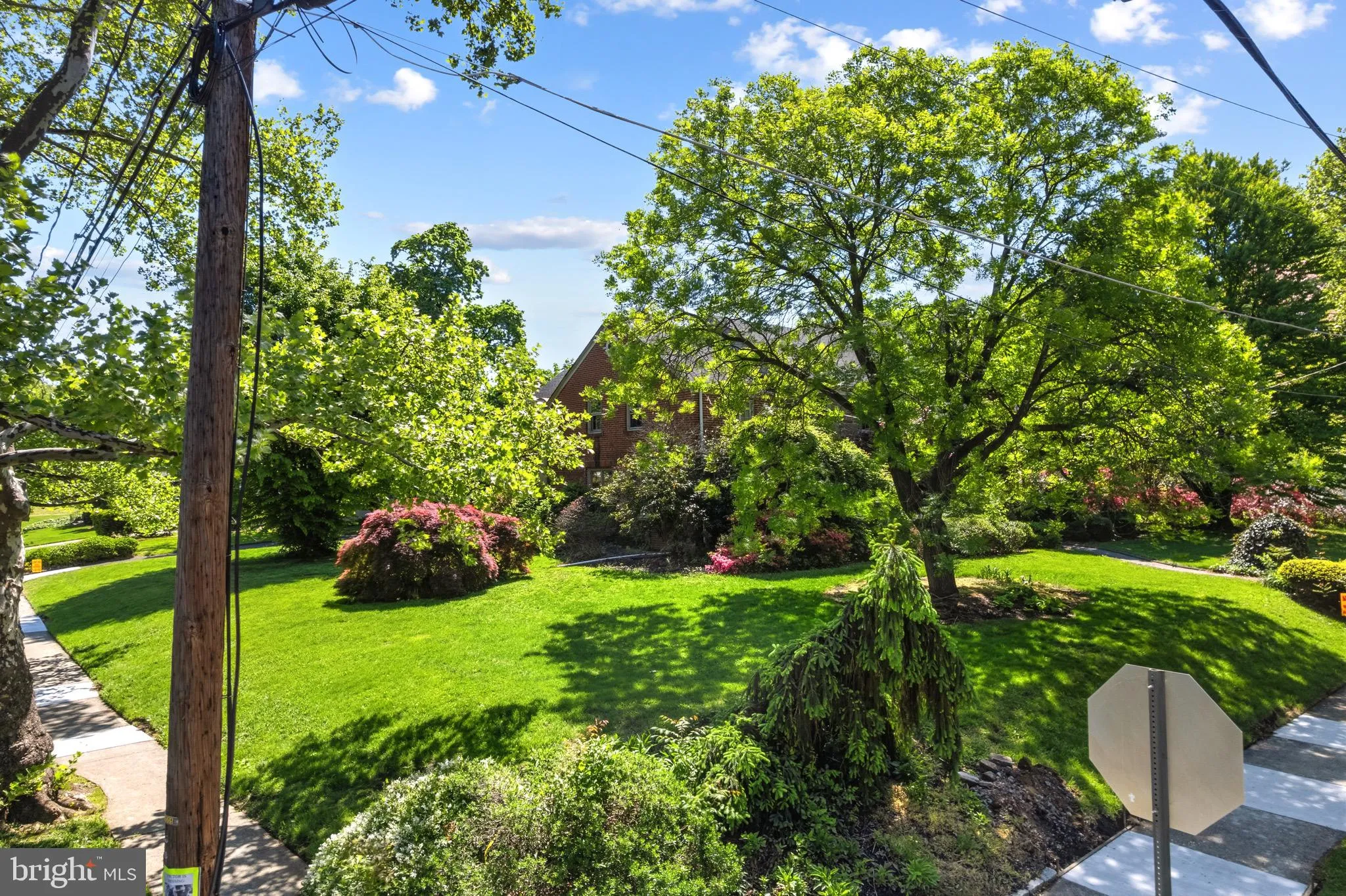 Additional image 81 of 419 Virginia Ave, Collingswood, NJ 08107