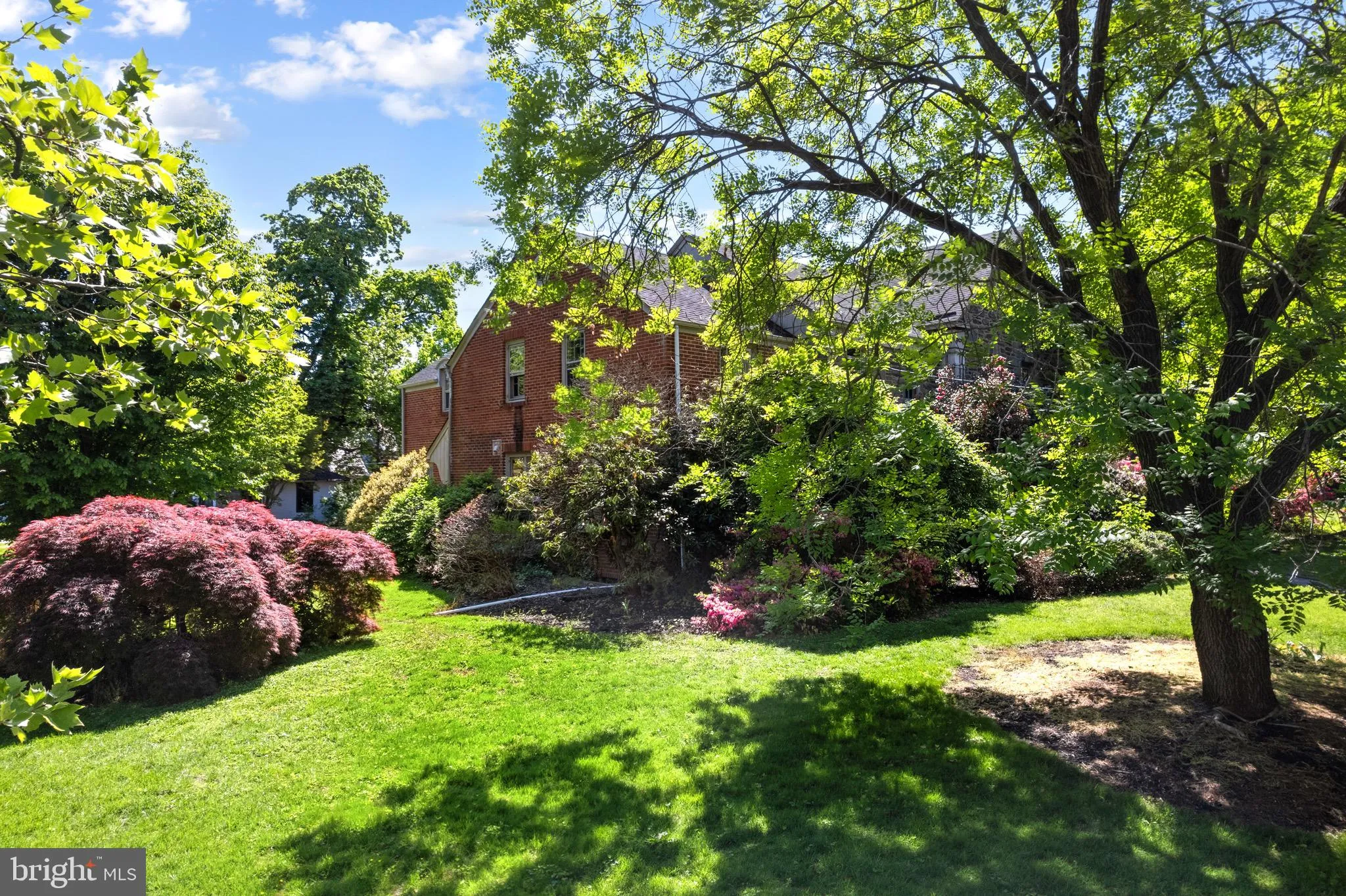 Additional image 80 of 419 Virginia Ave, Collingswood, NJ 08107