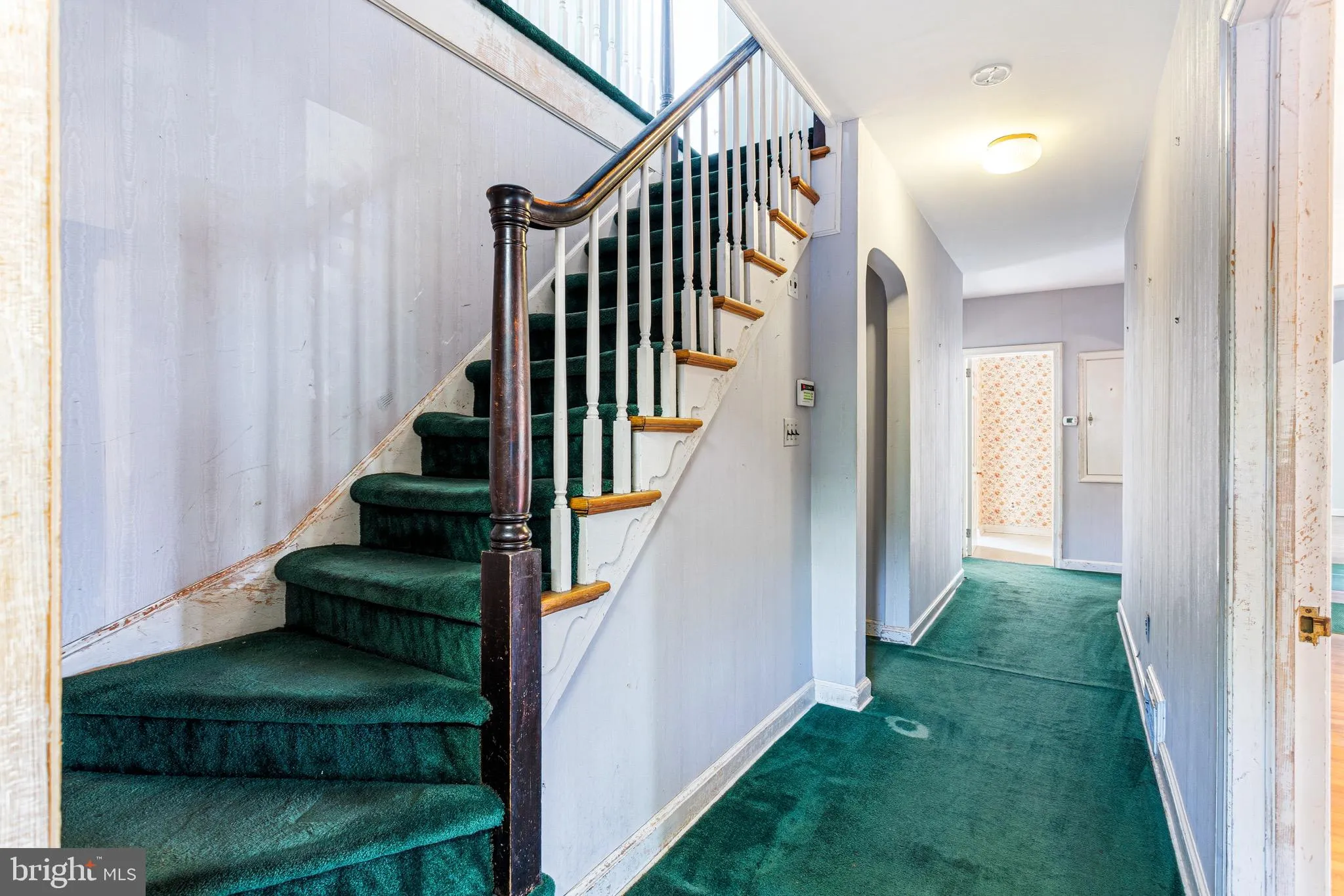 Additional image 52 of 419 Virginia Ave, Collingswood, NJ 08107