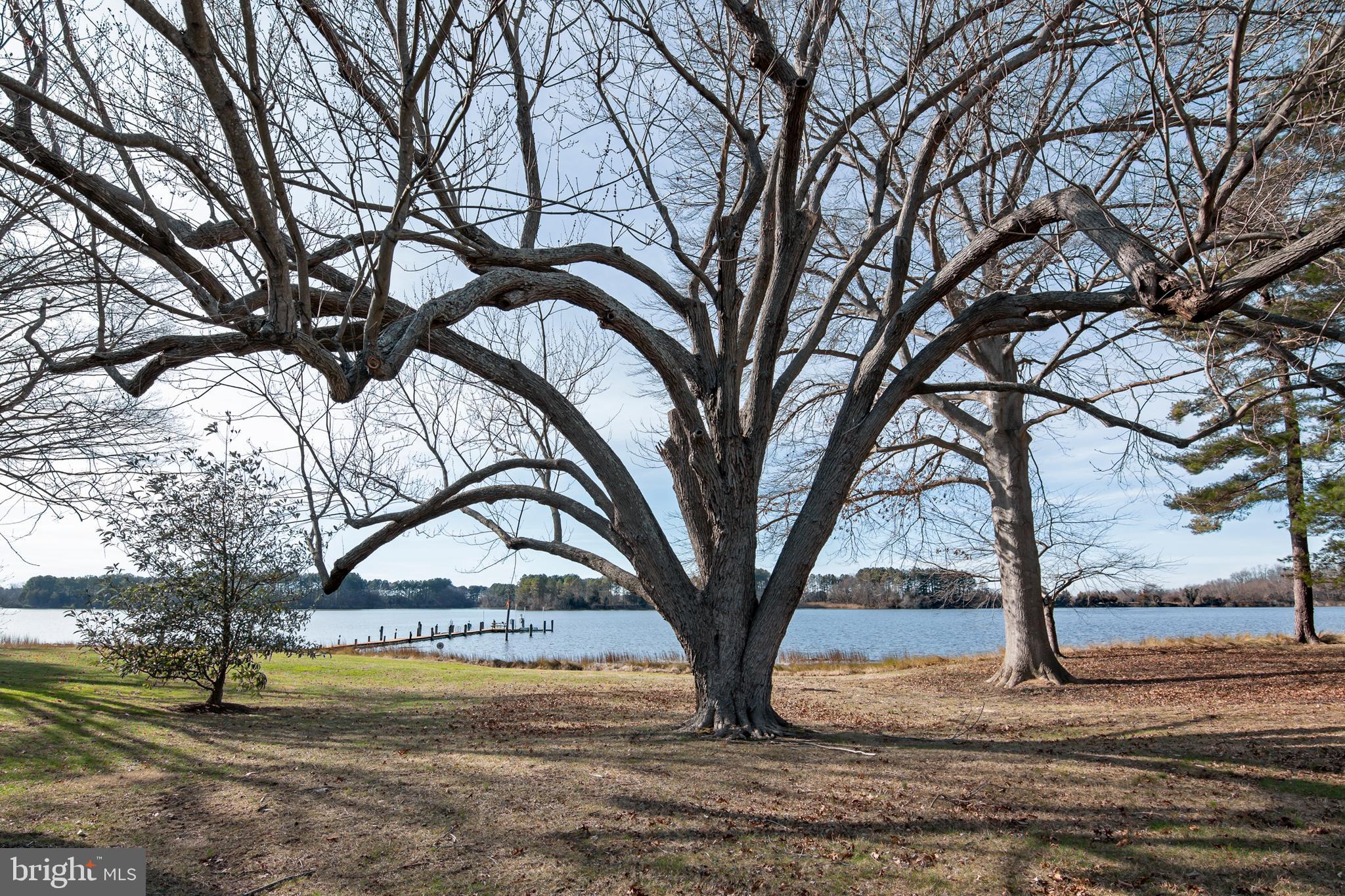 PRESQUILE - Residential