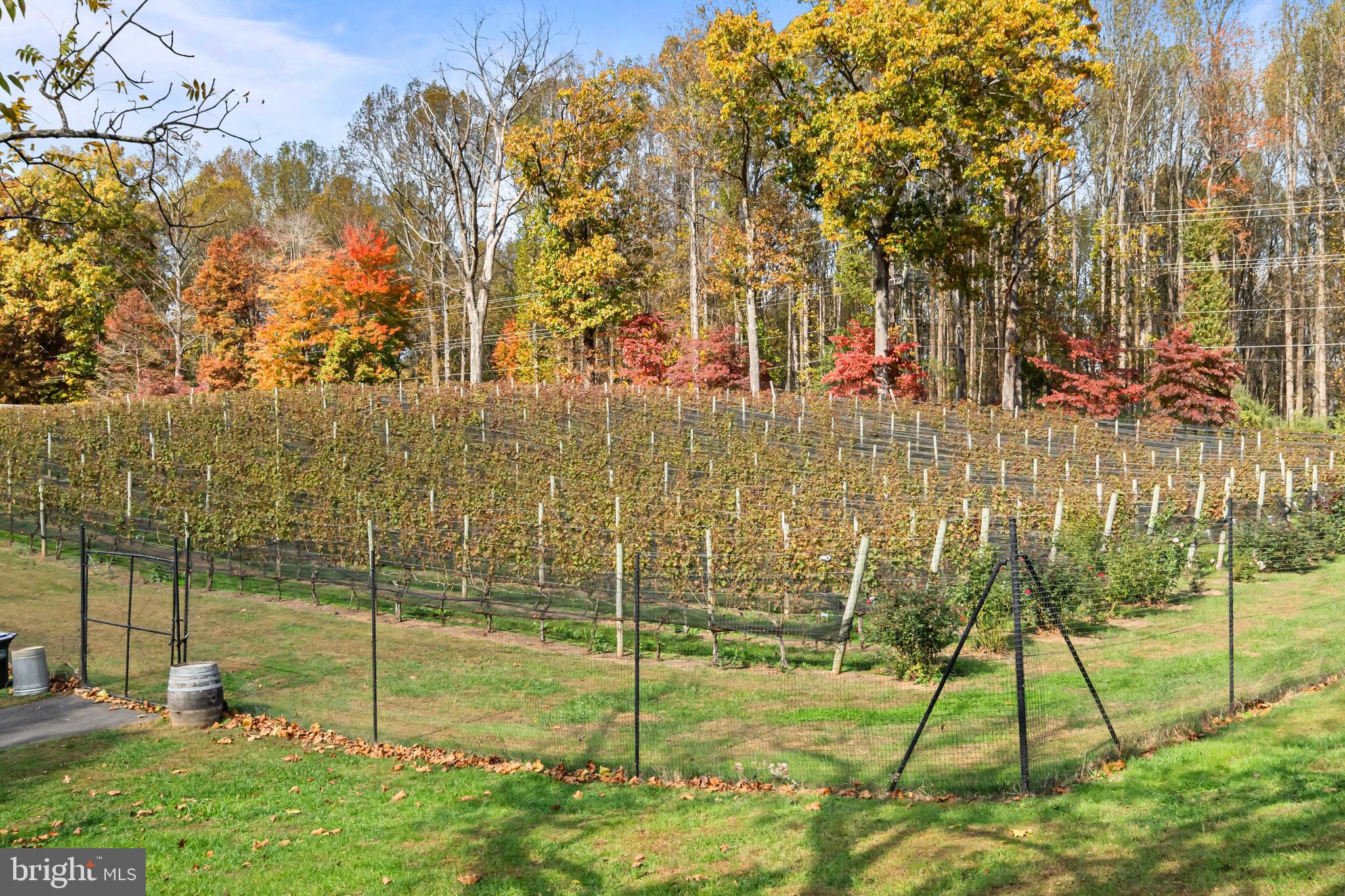 LONGWOOD KNOLLS - Residential