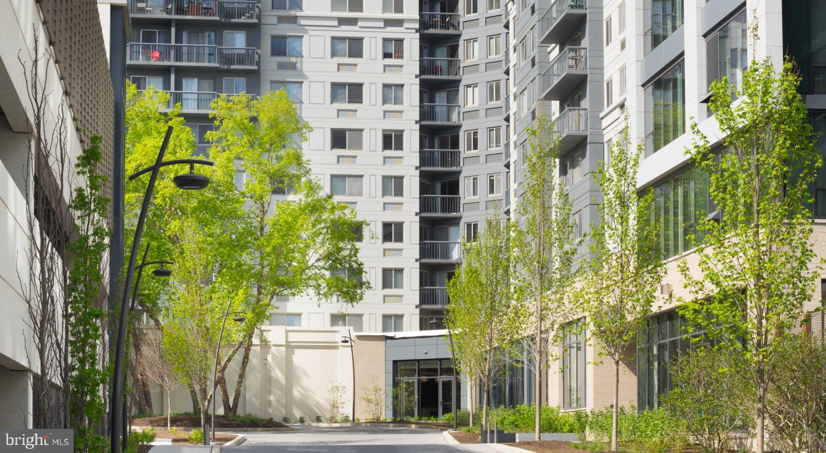 ART MUSEUM AREA - Residential Lease