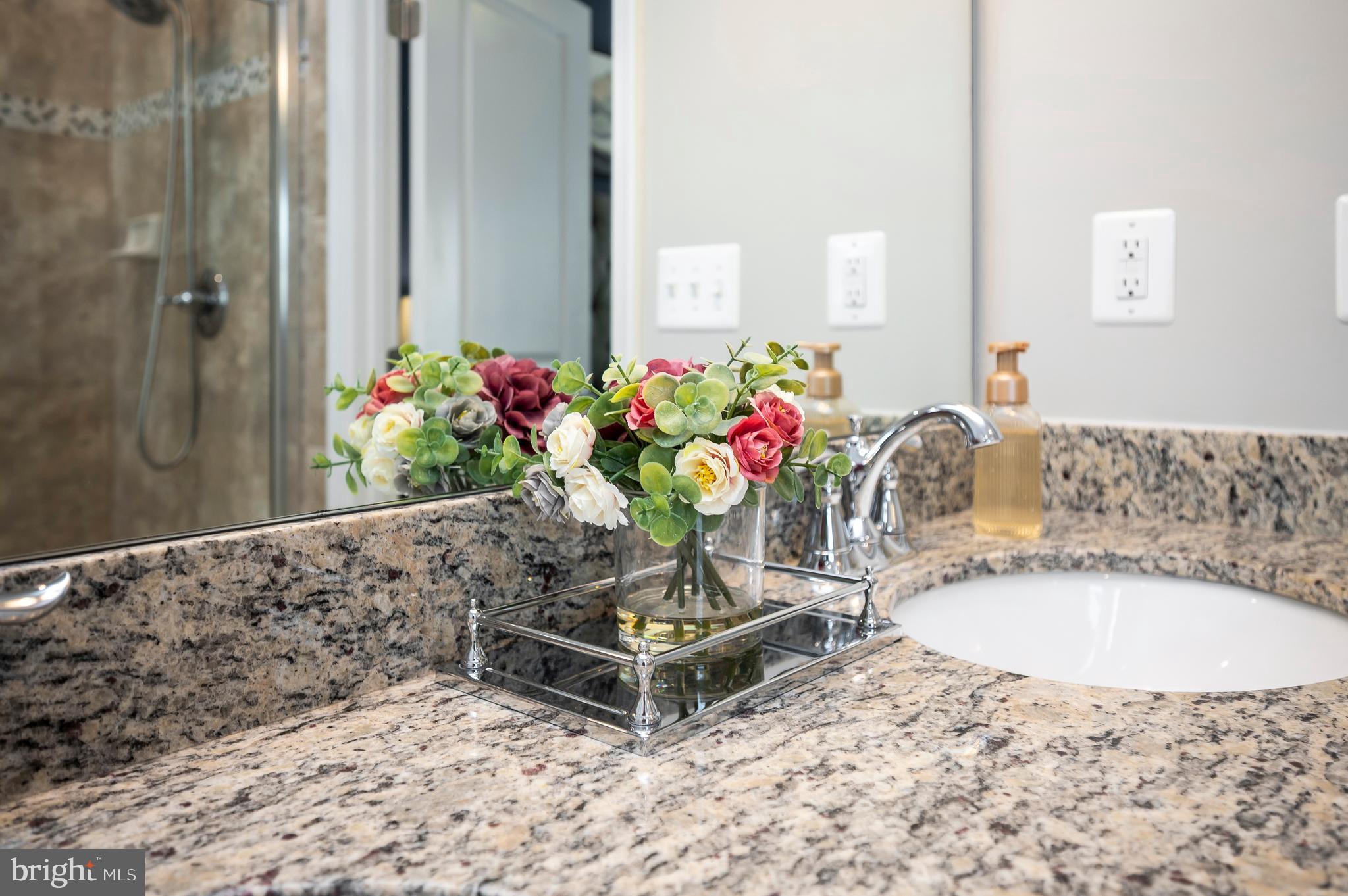 THE VILLAGE AT COURTHOUSE COMMONS - Residential