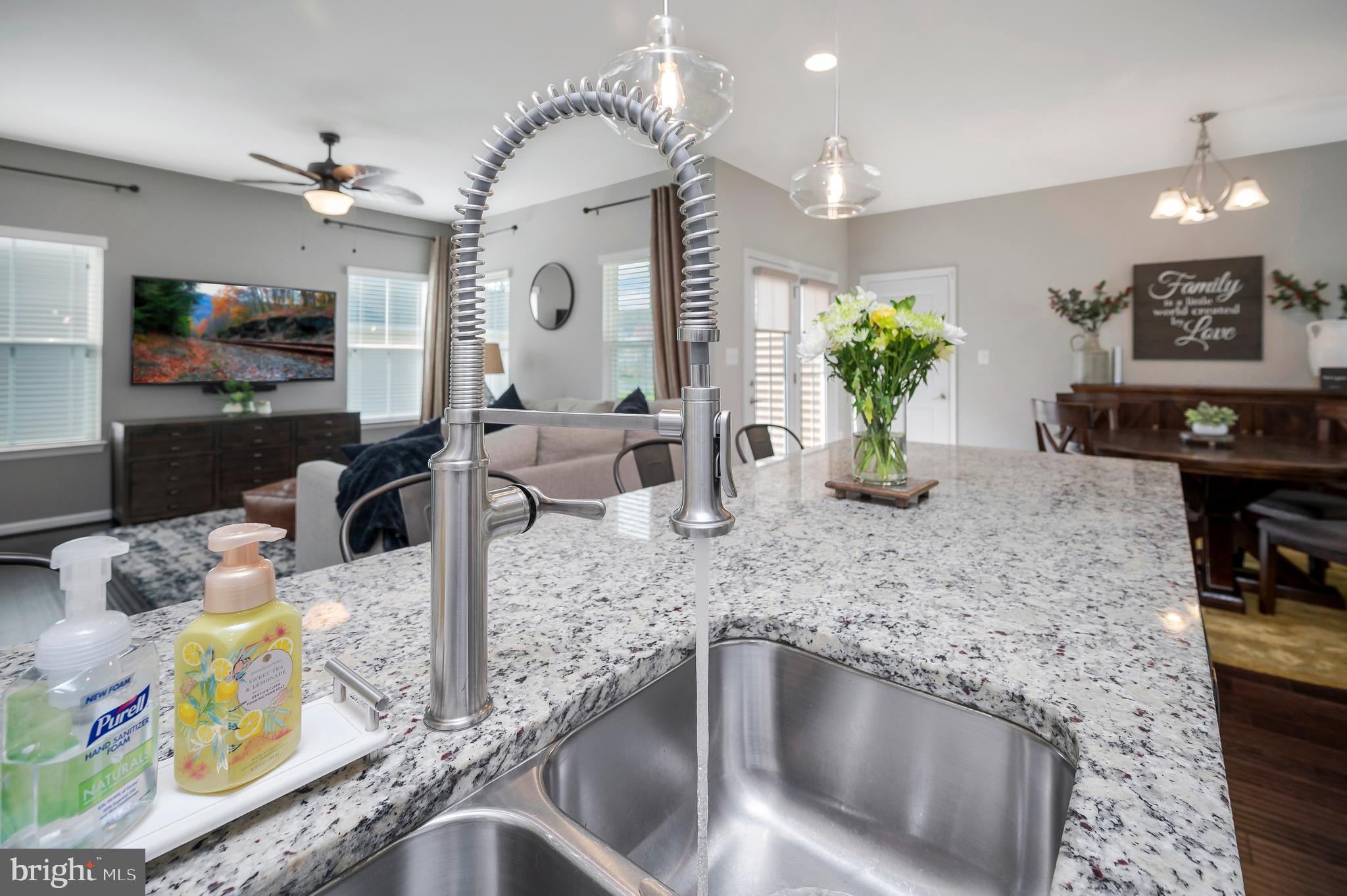 THE VILLAGE AT COURTHOUSE COMMONS - Residential