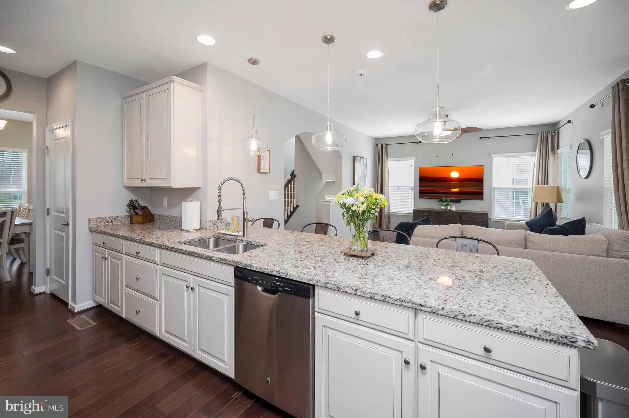 THE VILLAGE AT COURTHOUSE COMMONS - Residential