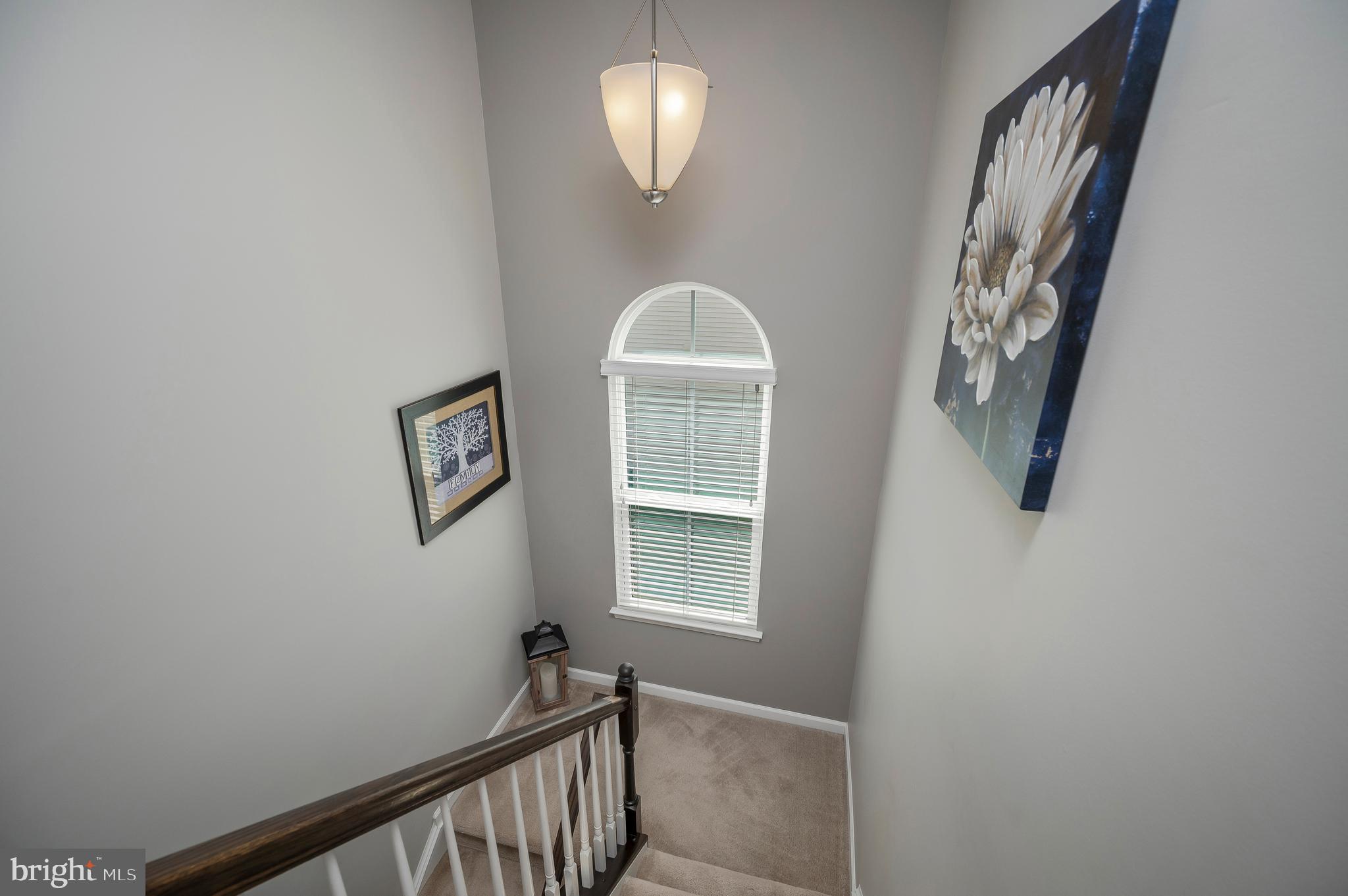 THE VILLAGE AT COURTHOUSE COMMONS - Residential