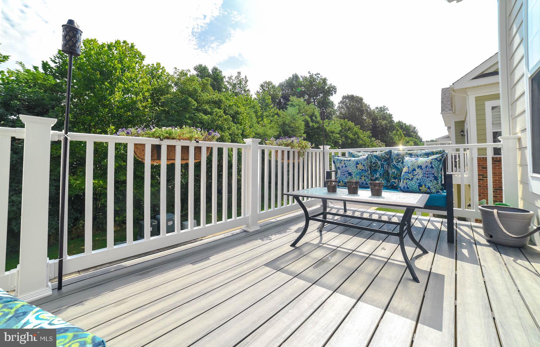 THE VILLAGES OF STEEPLECHASE - Residential