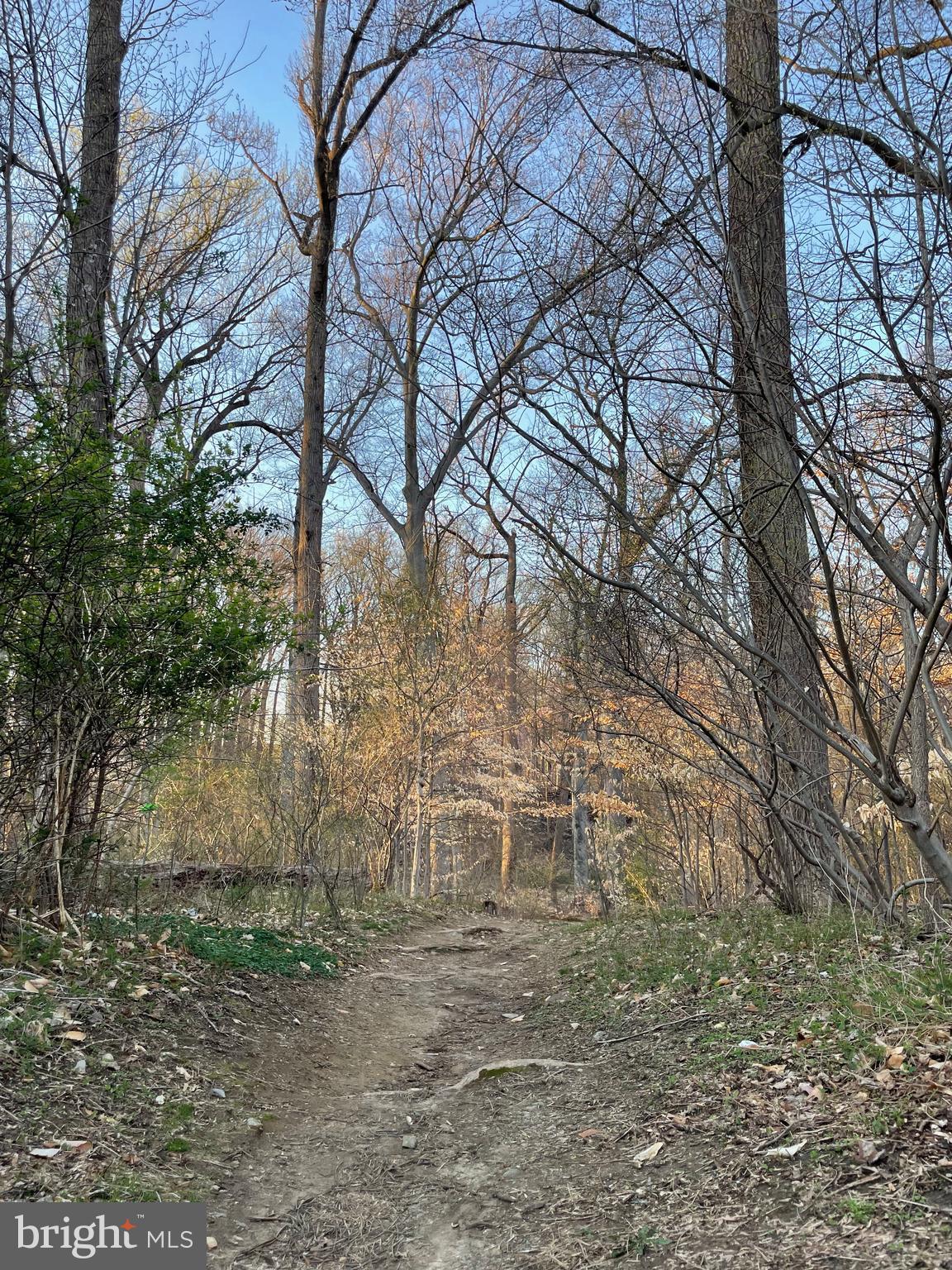 RHAWNHURST - Residential Lease