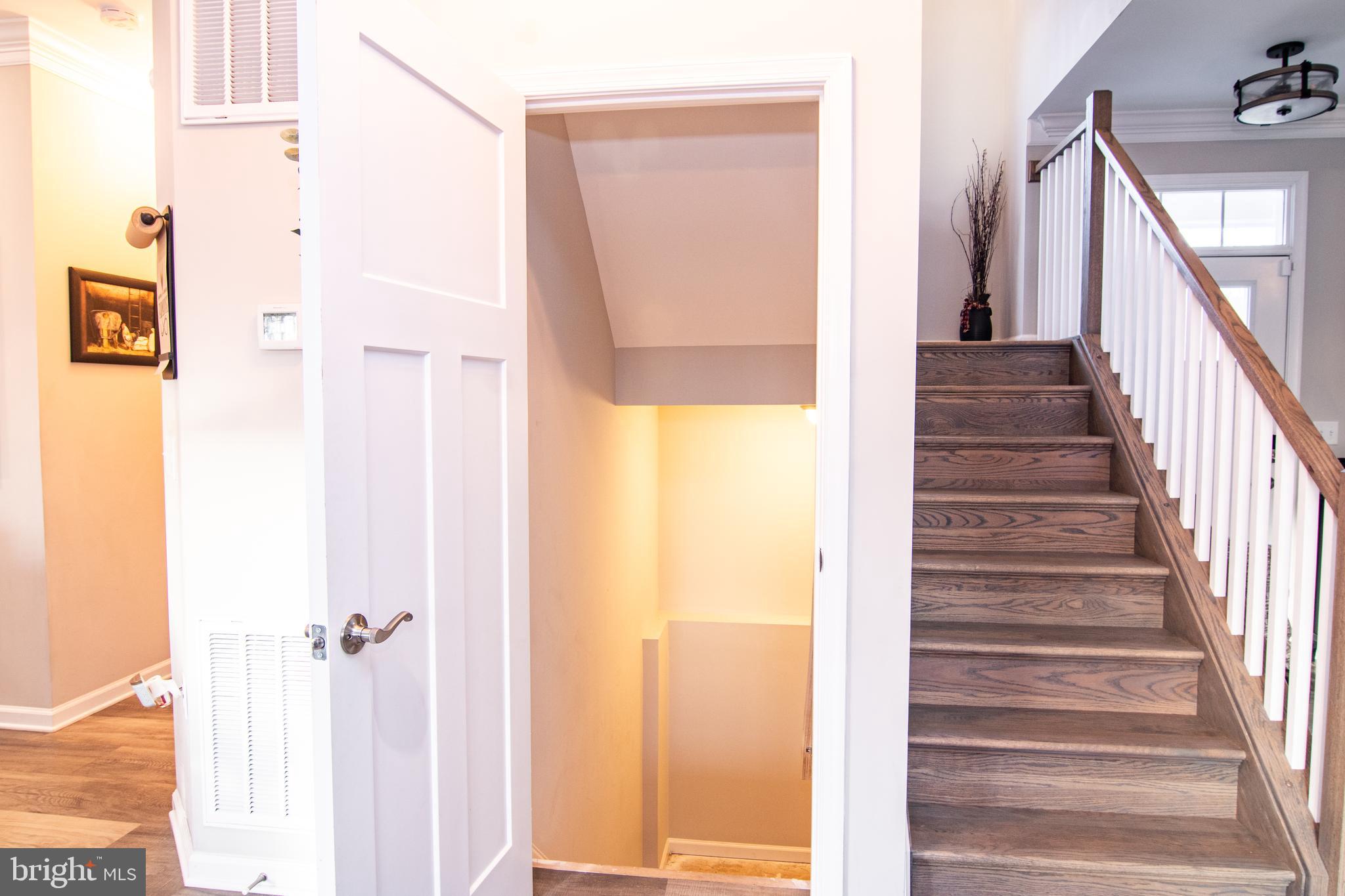 CHESTNUT HILL ESTATES - Residential