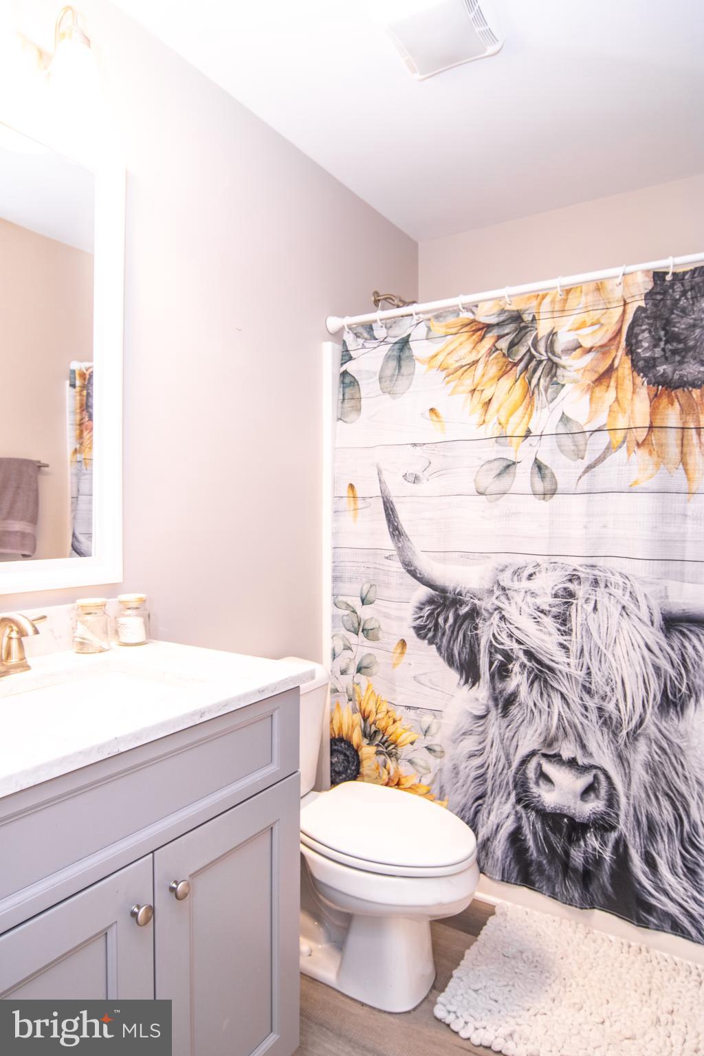 CHESTNUT HILL ESTATES - Residential