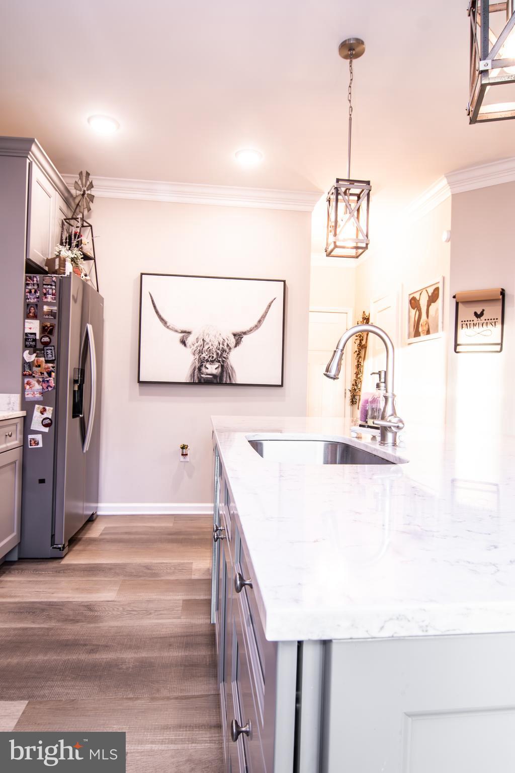 CHESTNUT HILL ESTATES - Residential