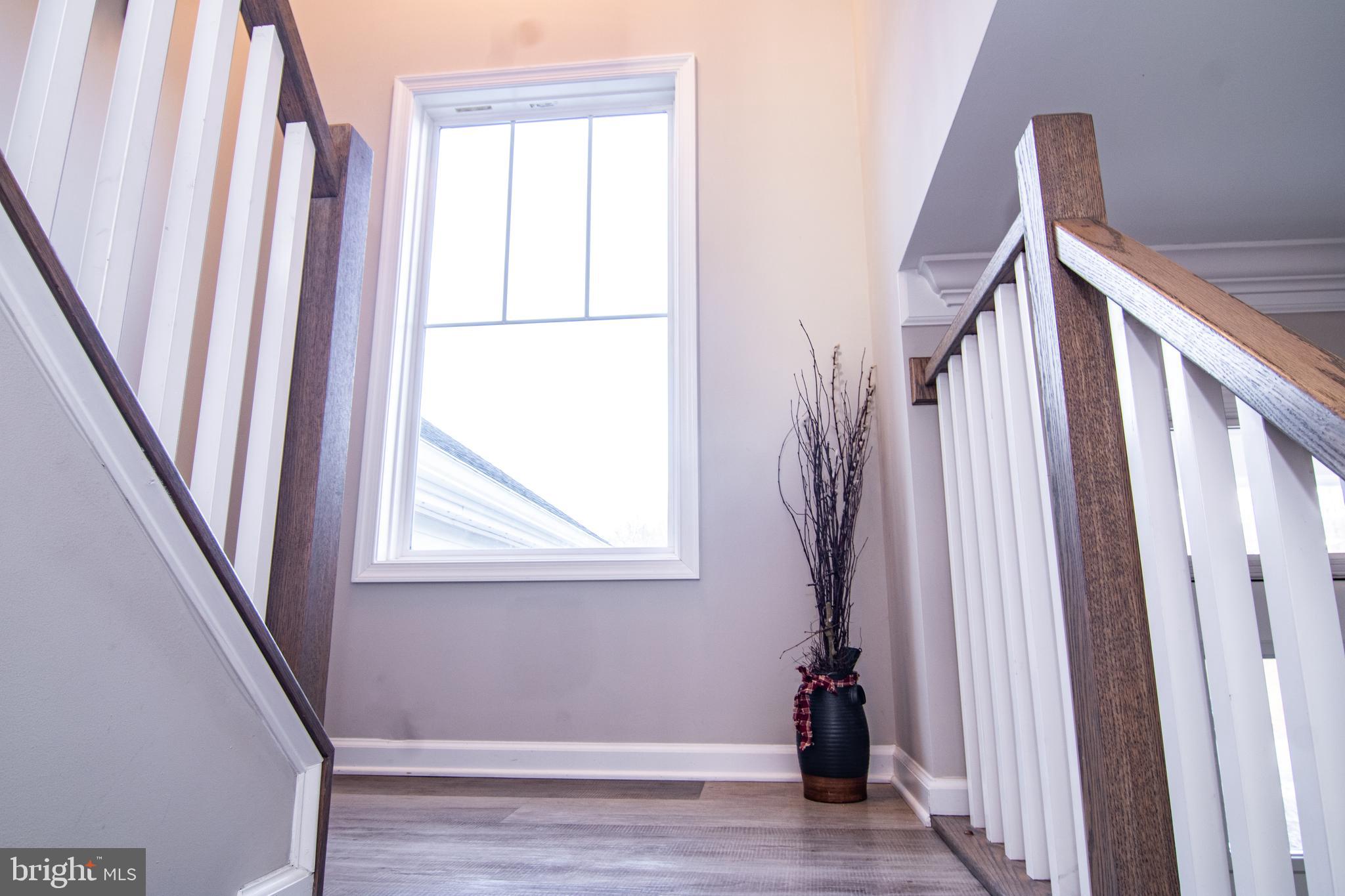 CHESTNUT HILL ESTATES - Residential