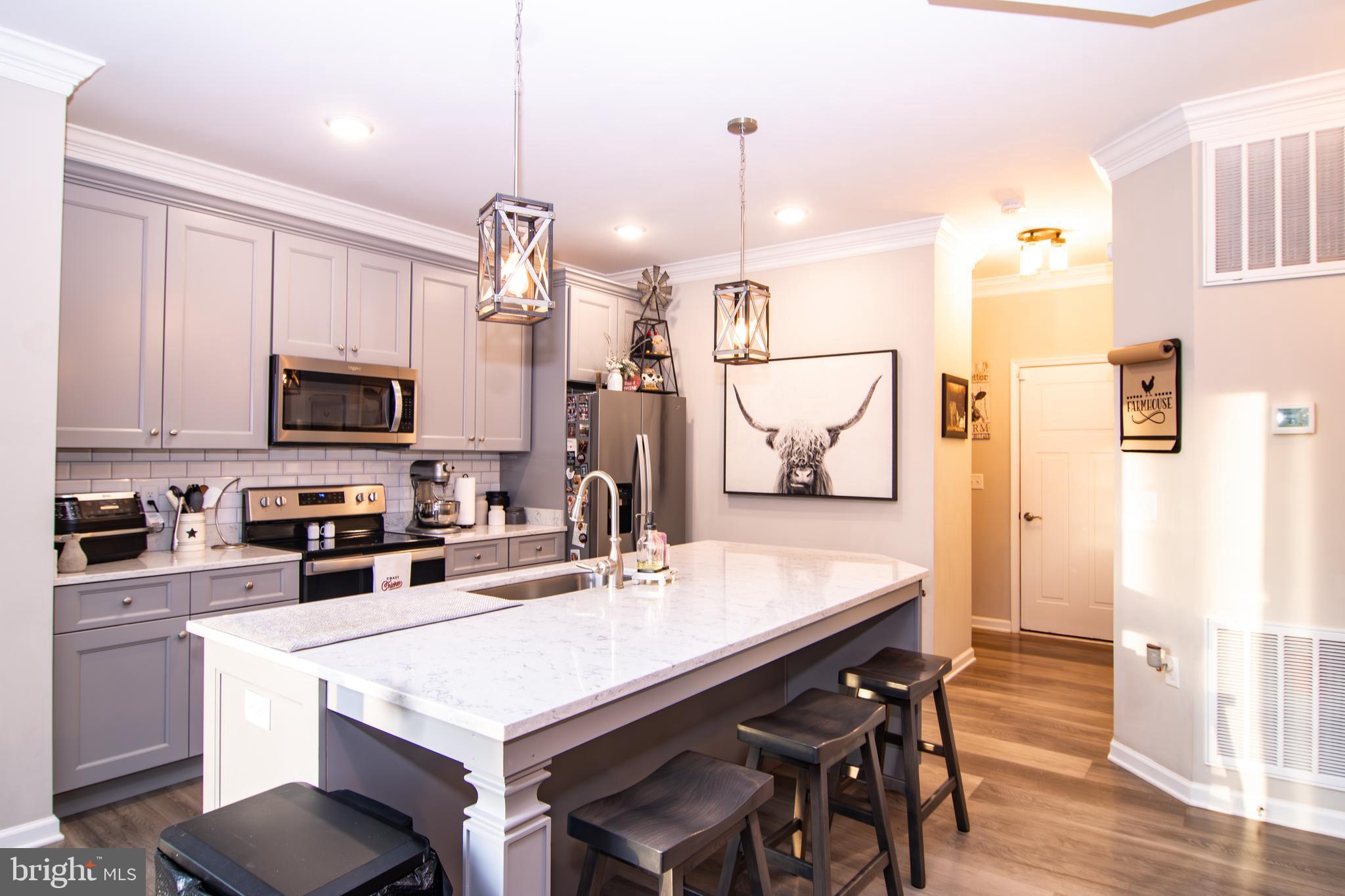 CHESTNUT HILL ESTATES - Residential