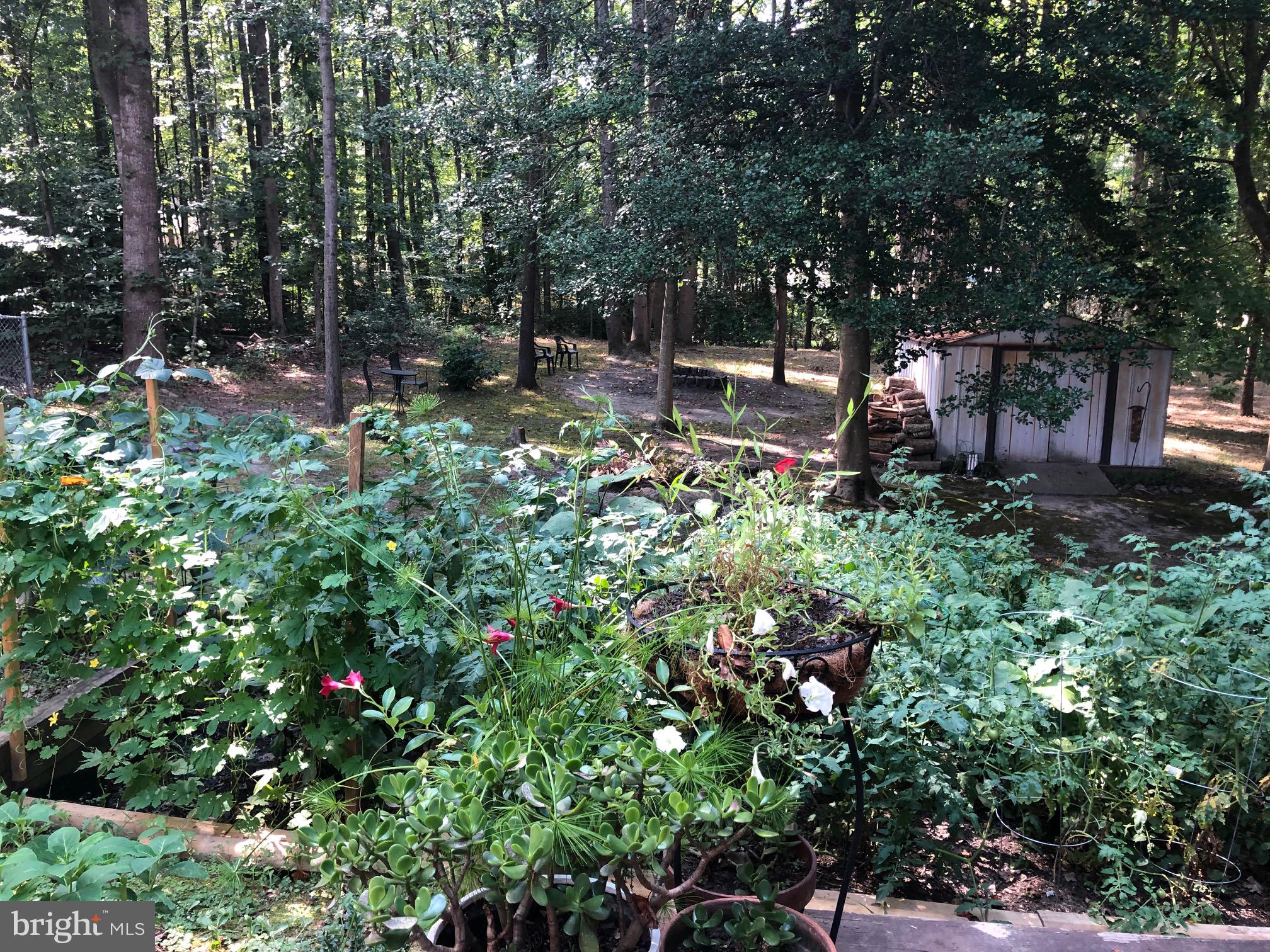 HICKORY RIDGE - Residential