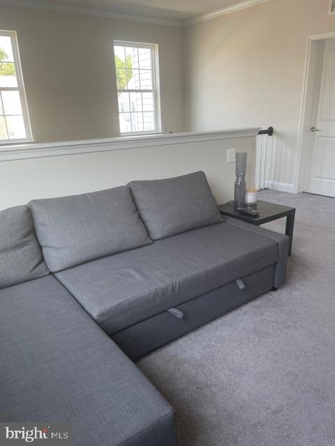 BEECH CREEK - Residential