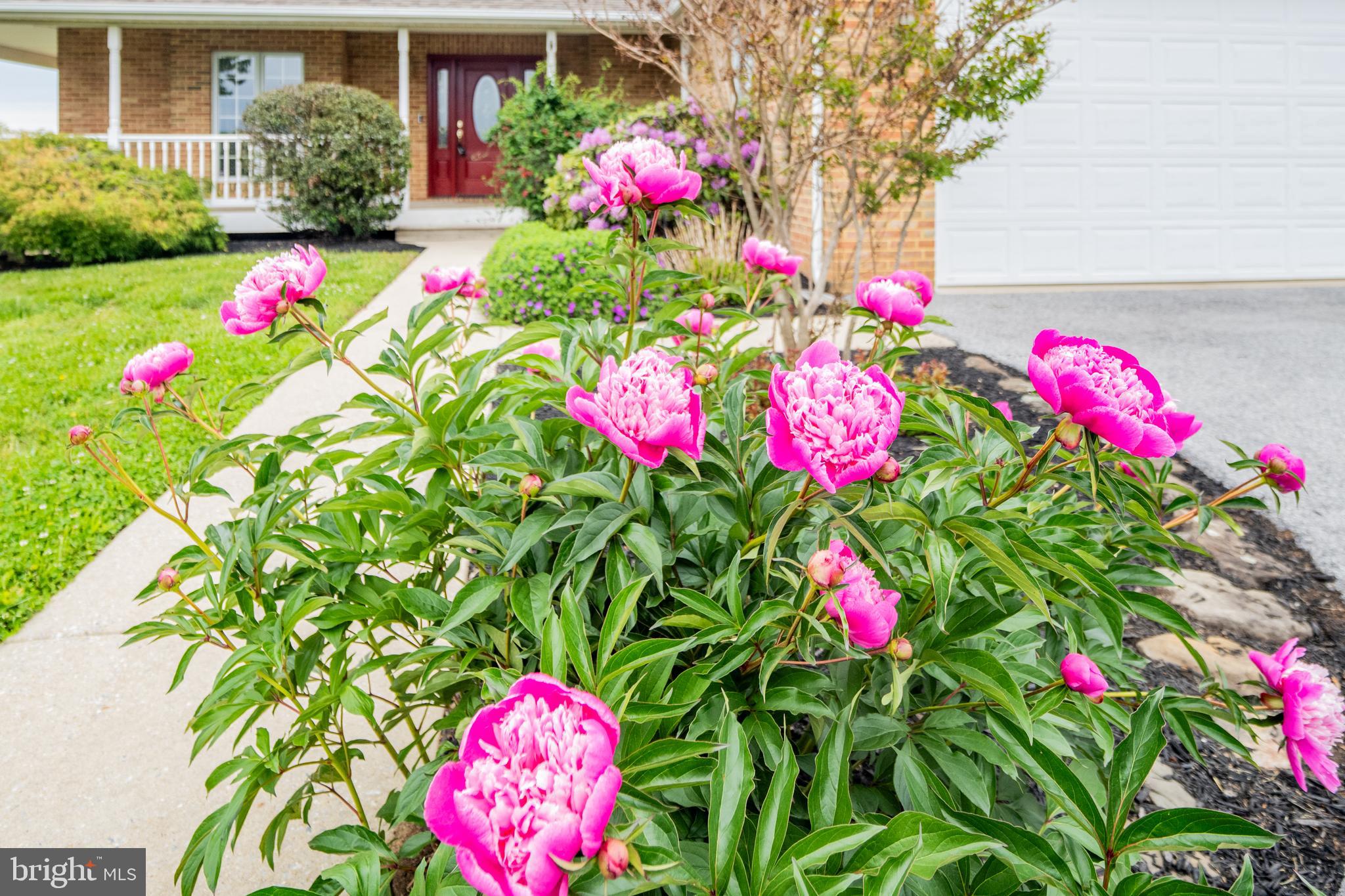 BREEZEWOOD ESTATES - Residential