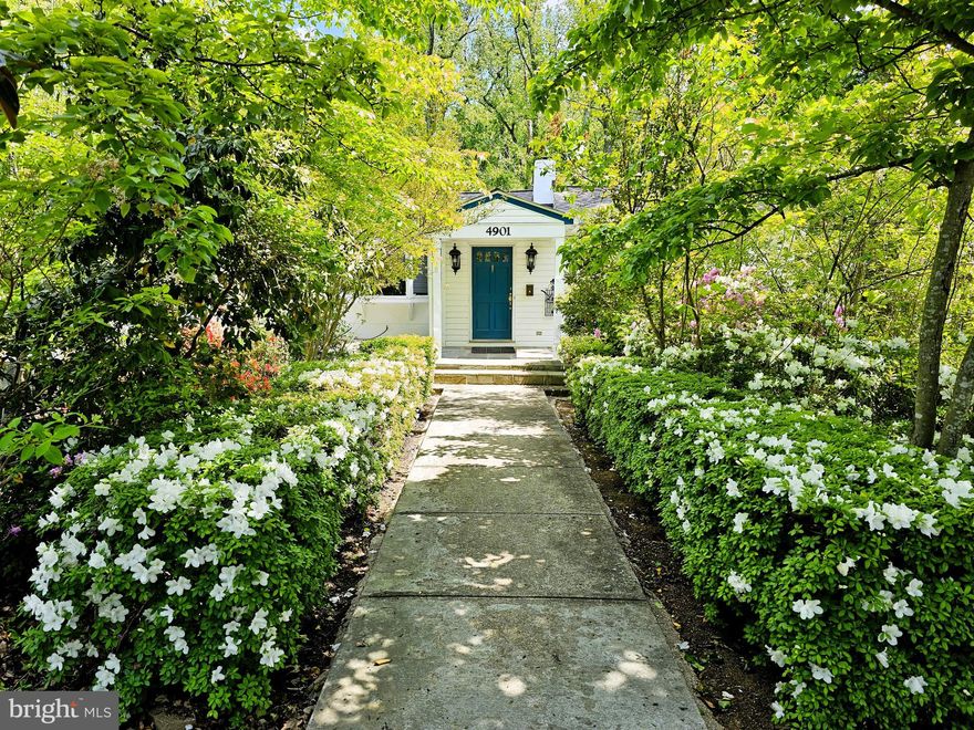 Welcome to 4901 Chowan Ave — a spacious rental with 6 bedrooms, 4 baths, and about 3,300 sq. ft. on a 0.7-acre lot. The bright, open layout features a skylit kitchen, hardwood floors, and seamless indoor-outdoor flow. A brand-new mini-split in the primary bedroom ensures year-round comfort. The walkout basement and bonus room offer flexible space for work, fitness, or play. Relax on the large deck overlooking mature trees or enjoy the nearby community pool (membership required). Additional highlights include central heating and cooling, in-unit laundry, and a prime location near I-395, I-495, Old Town Alexandria, Landmark Development, Amazon HQ2, Shirlington, Mark Center, the Pentagon, Tysons, and Inova Hospital. Quick access to DC and Van Dorn Metro adds unmatched convenience. Schedule your private tour today! Note: photos from a prior listing; the property remains in similar condition.