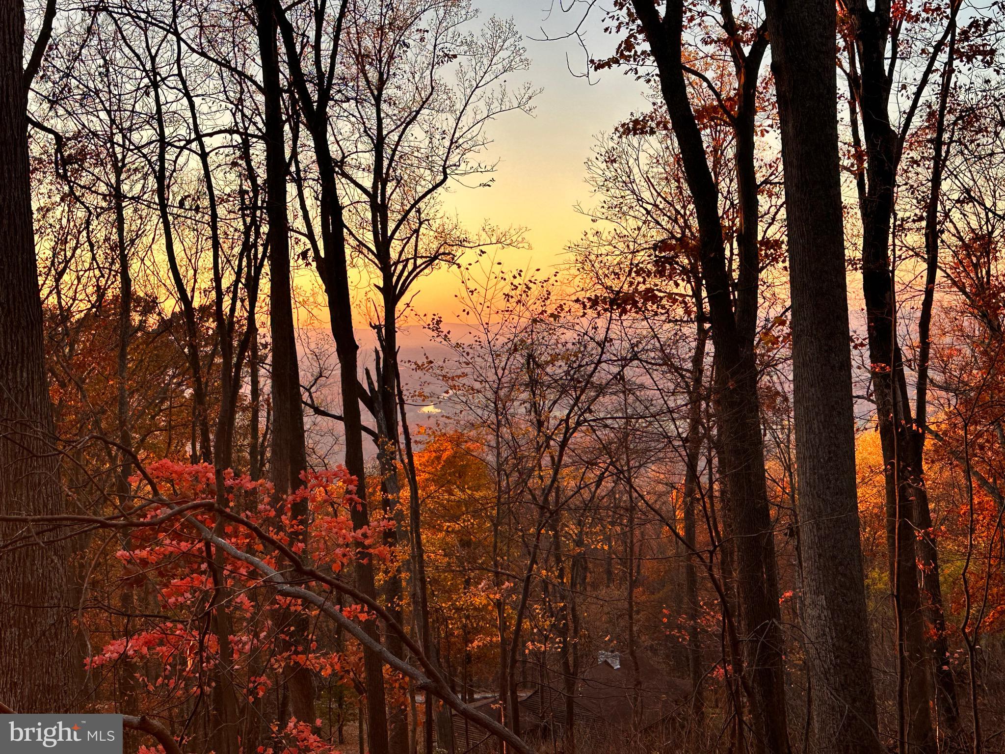 SKYLAND ESTATES - Residential