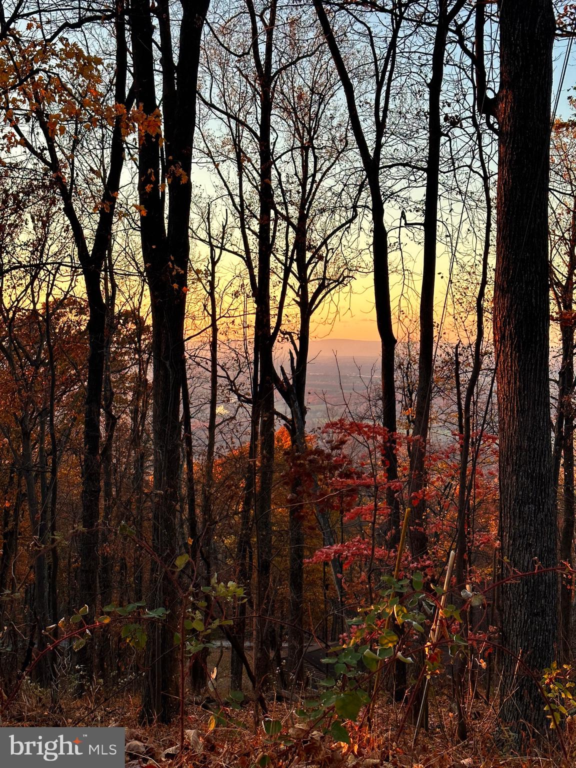 SKYLAND ESTATES - Residential